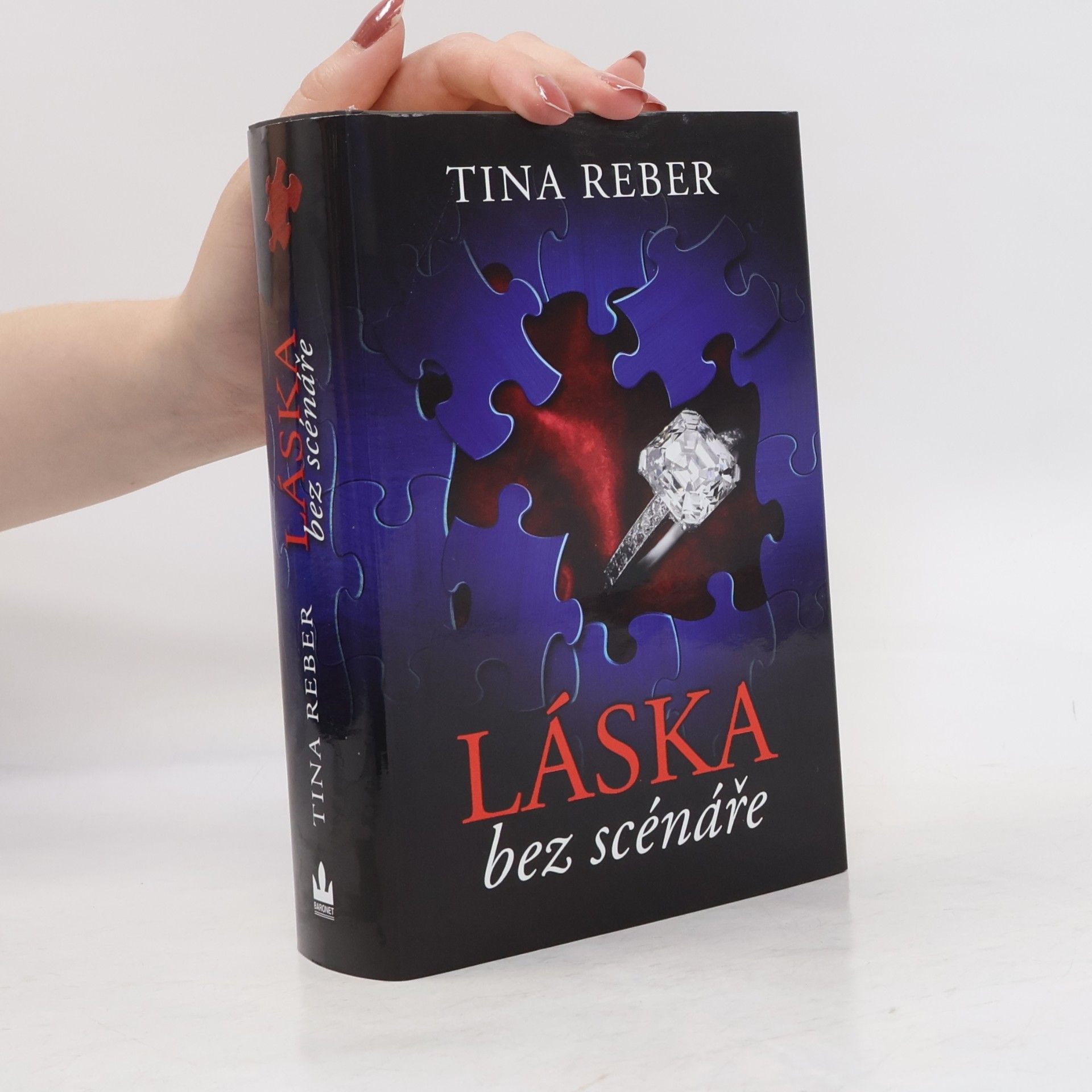 Tina Reber Láska bez scénáře