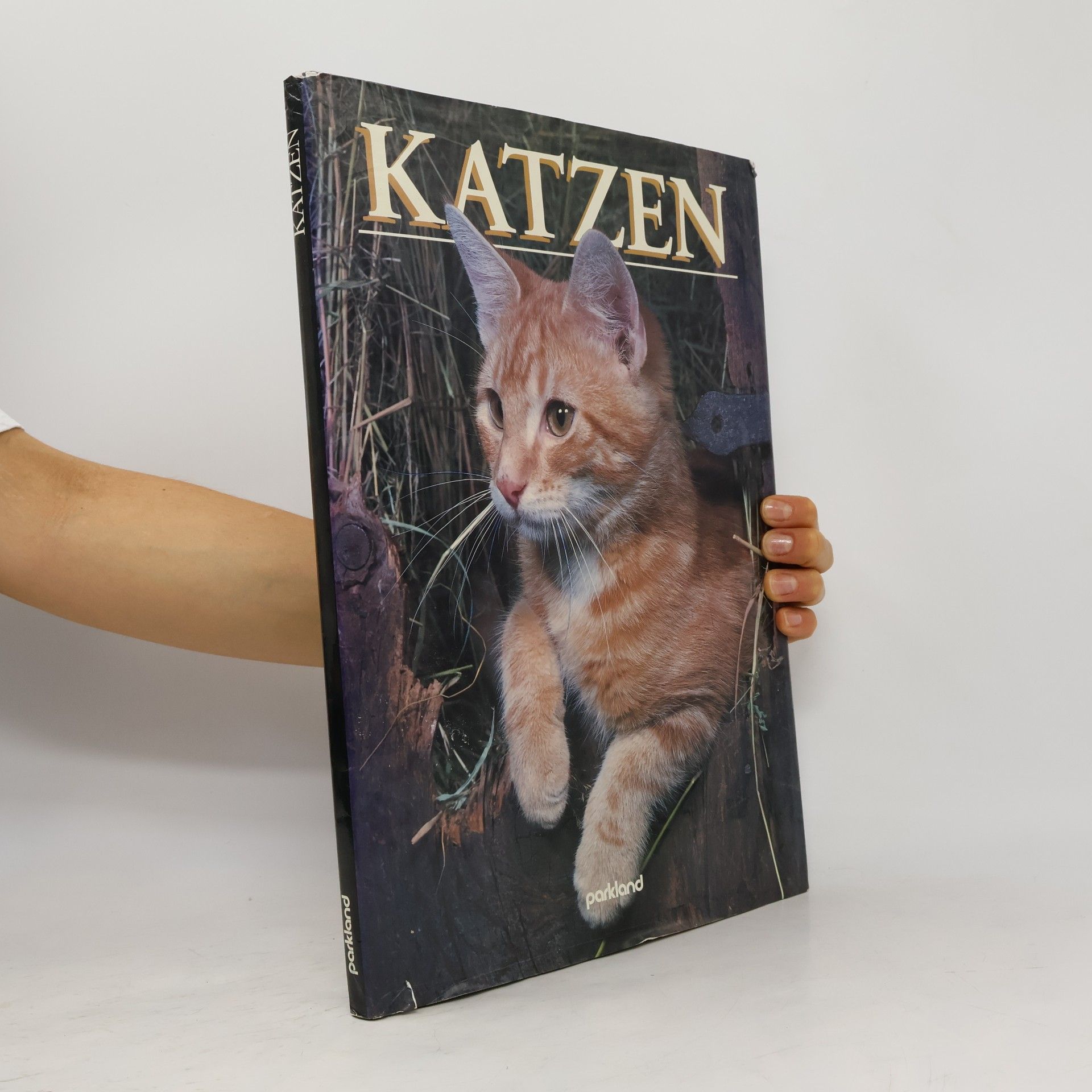 Tom Howard Katzen