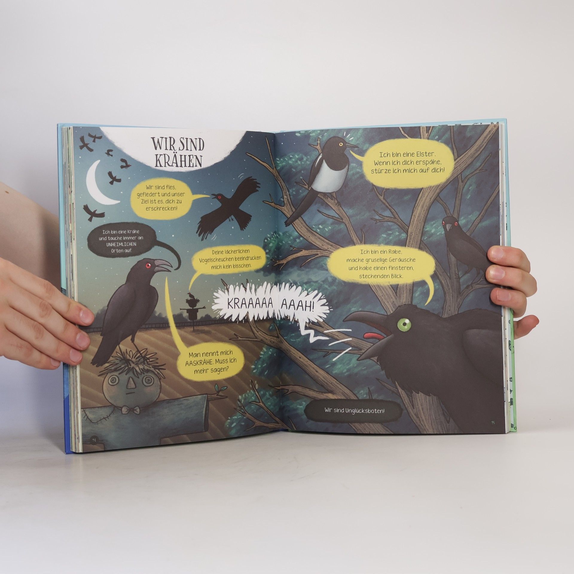 Sophie Corrigan Keine bösen Tiere - Das etwas andere Tierbuch für Kinder ab 7 Jahren