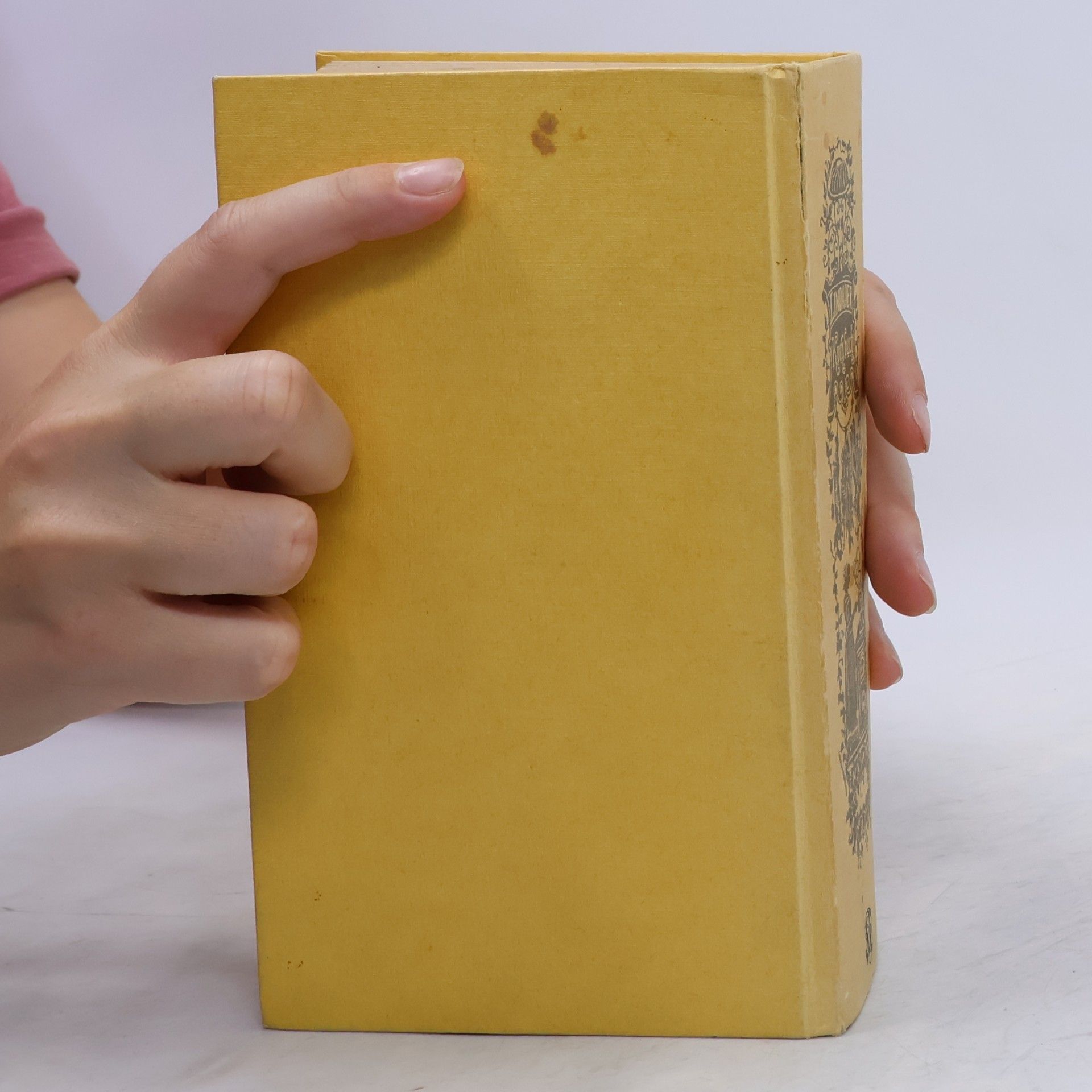 Christine Charlotte Riedl Lindauer Kochbuch (Faksimile-Druck nach dem Original von 1894)
