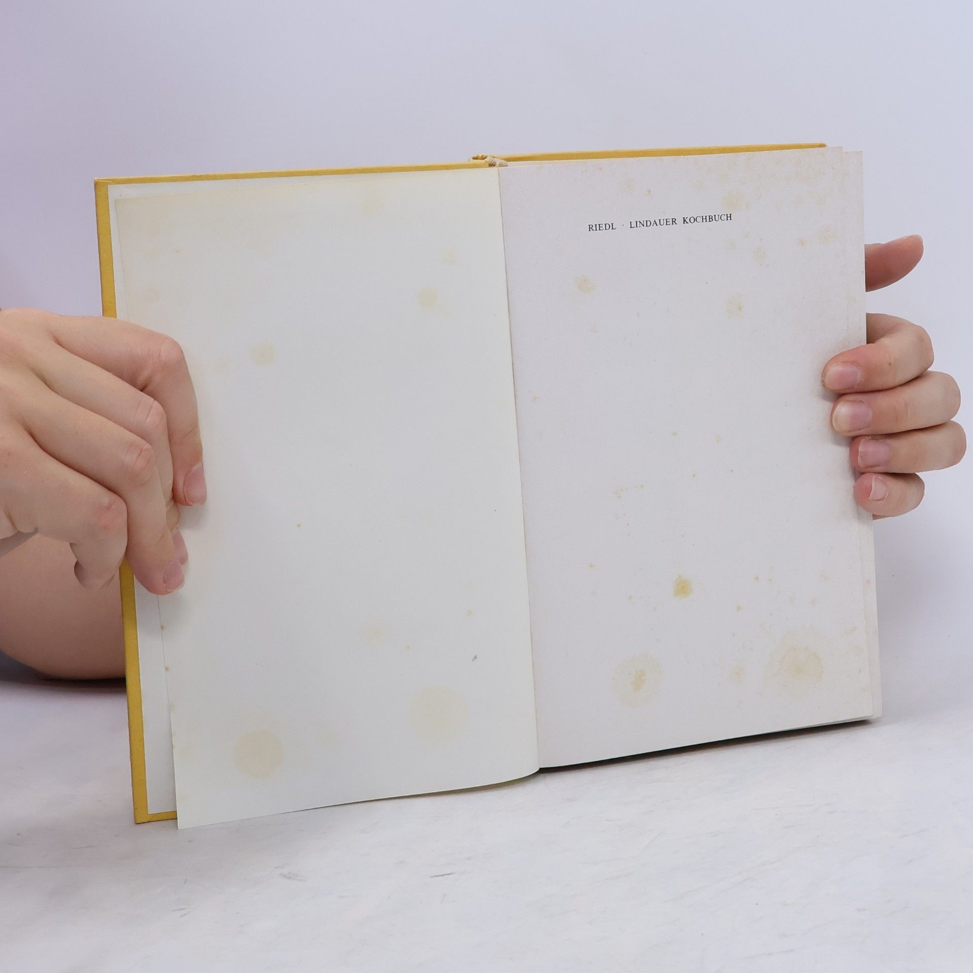 Christine Charlotte Riedl Lindauer Kochbuch (Faksimile-Druck nach dem Original von 1894)