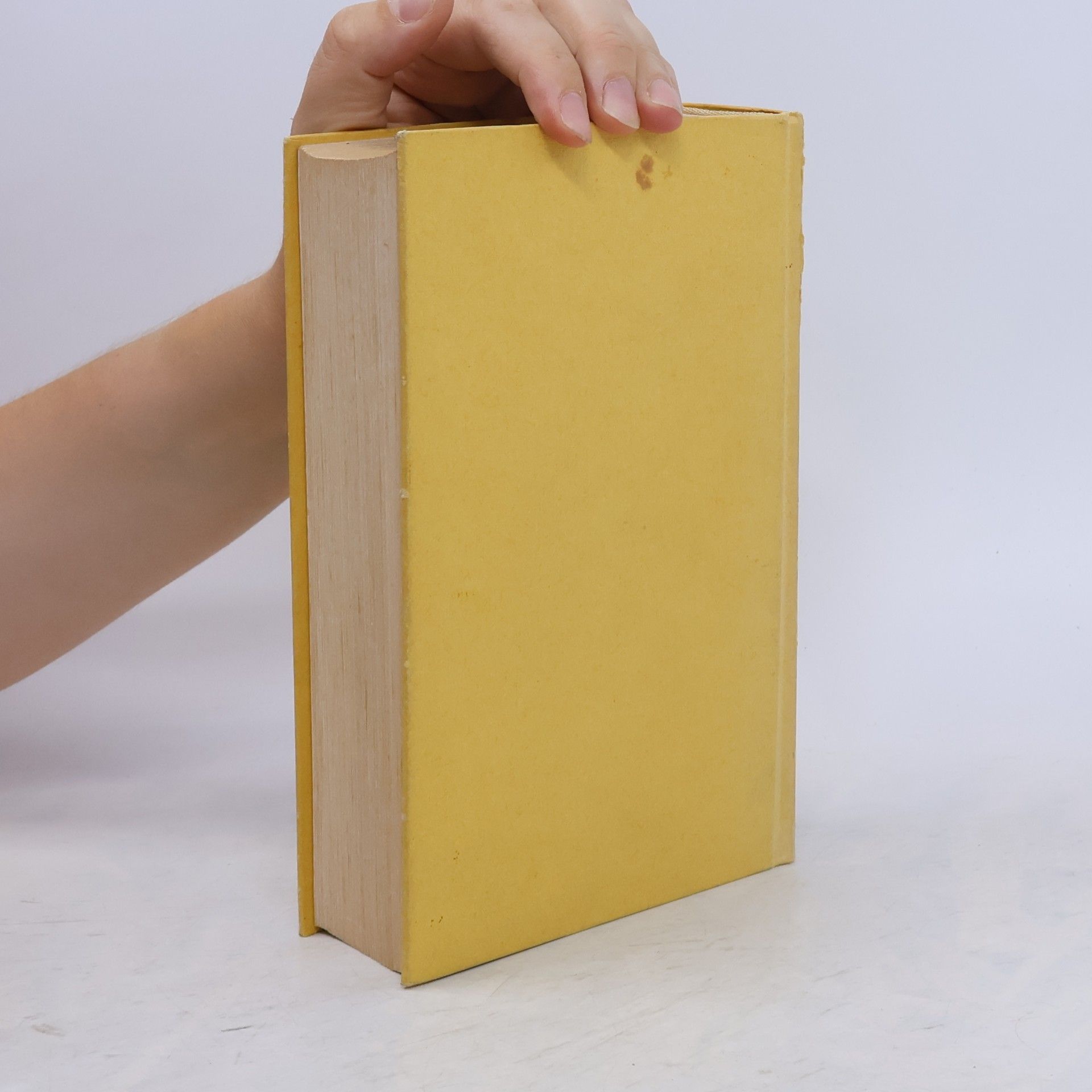 Christine Charlotte Riedl Lindauer Kochbuch (Faksimile-Druck nach dem Original von 1894)