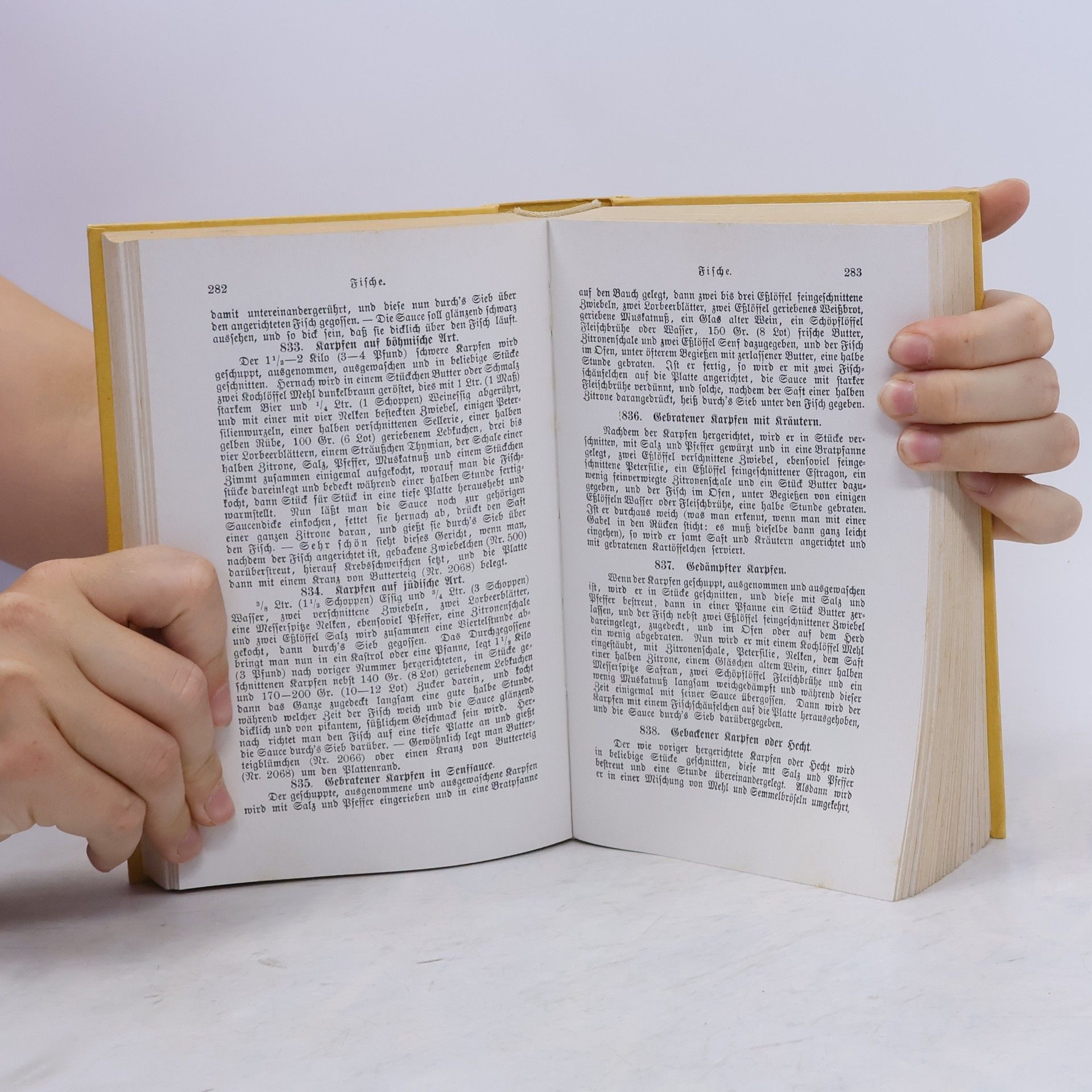 Christine Charlotte Riedl Lindauer Kochbuch (Faksimile-Druck nach dem Original von 1894)
