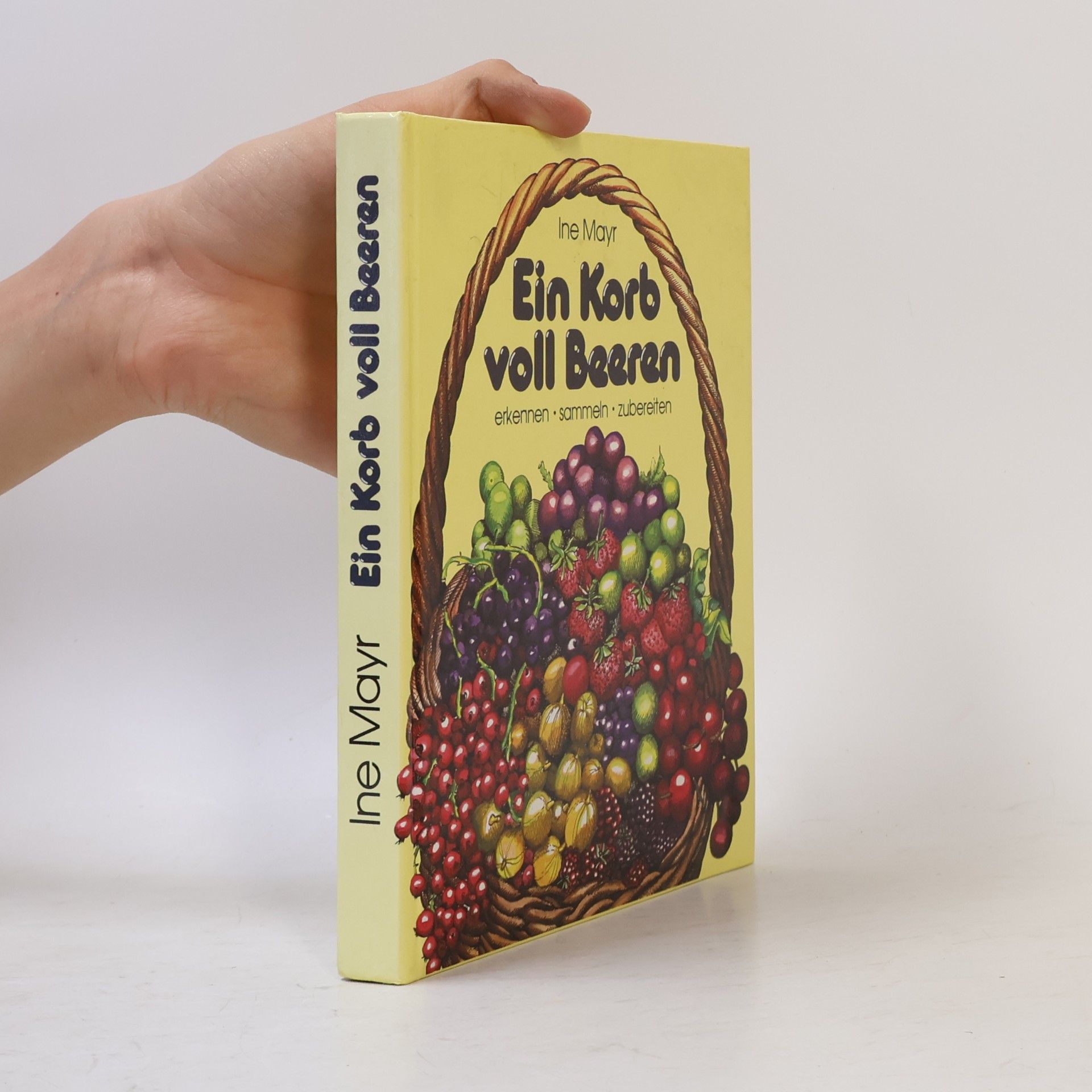 Ine Mayr Ein Korb voll Beeren