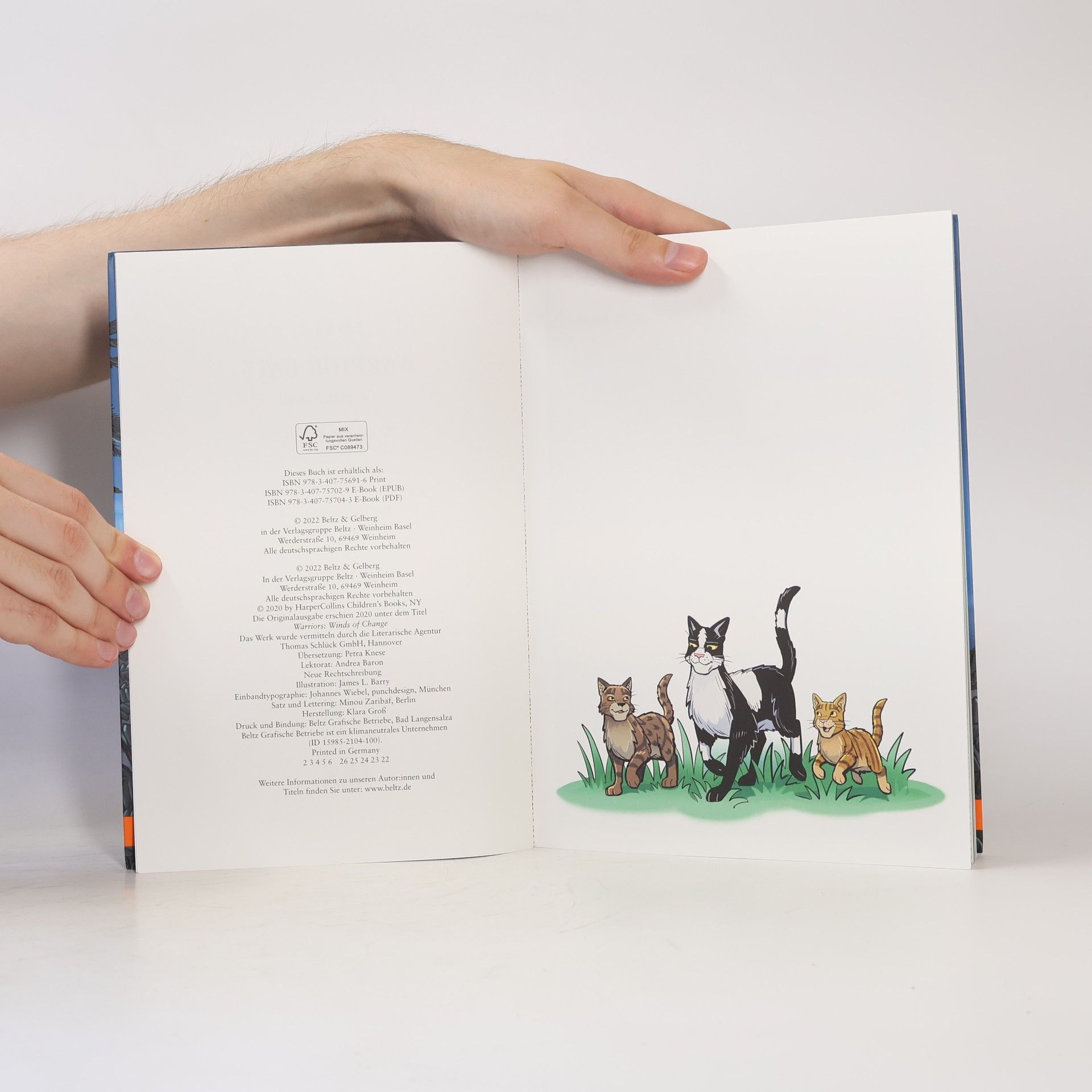 Erin Hunter Warrior Cats. Wind des Wandels