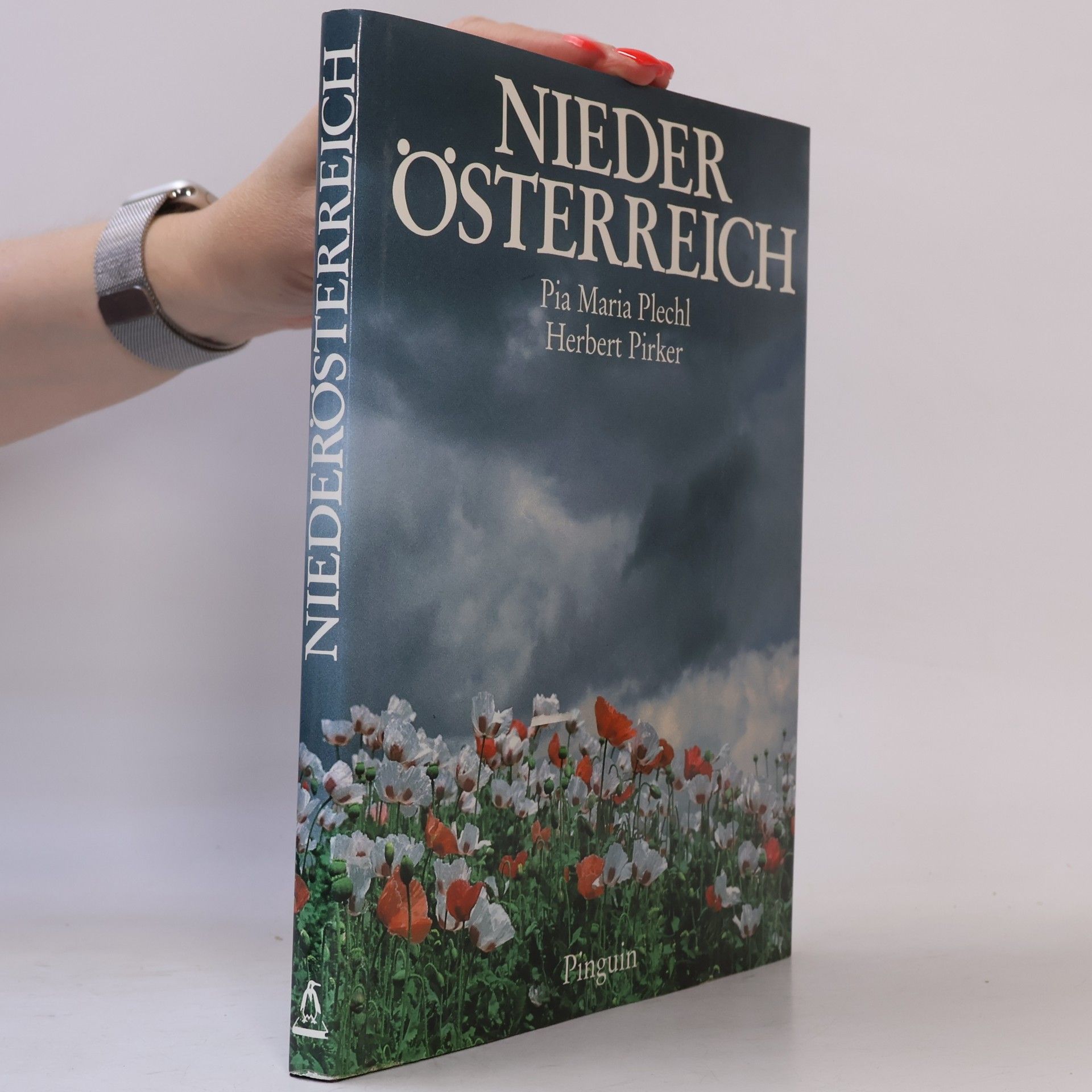 Pia Maria Plechl Niederösterreich