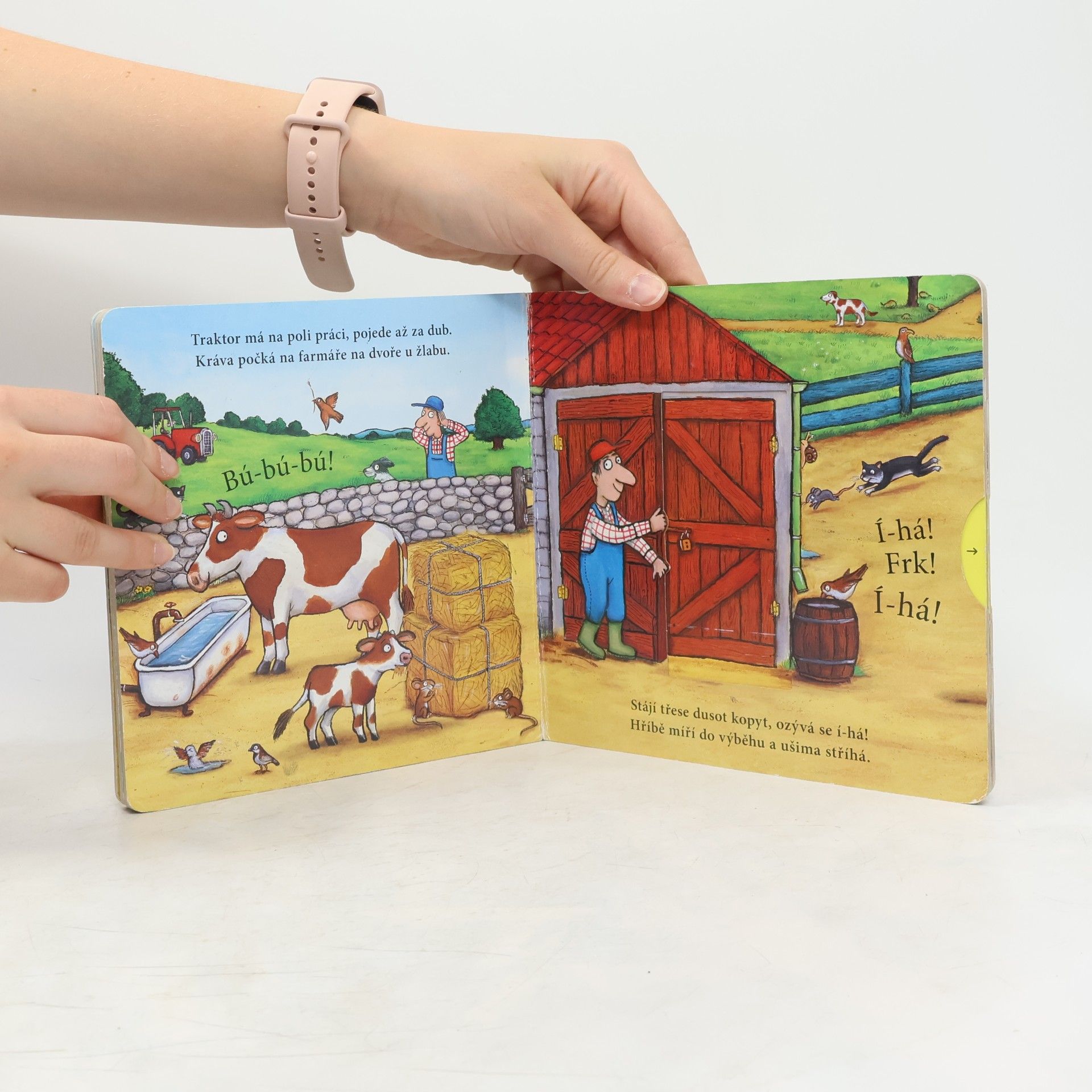 Axel Scheffler Na statku