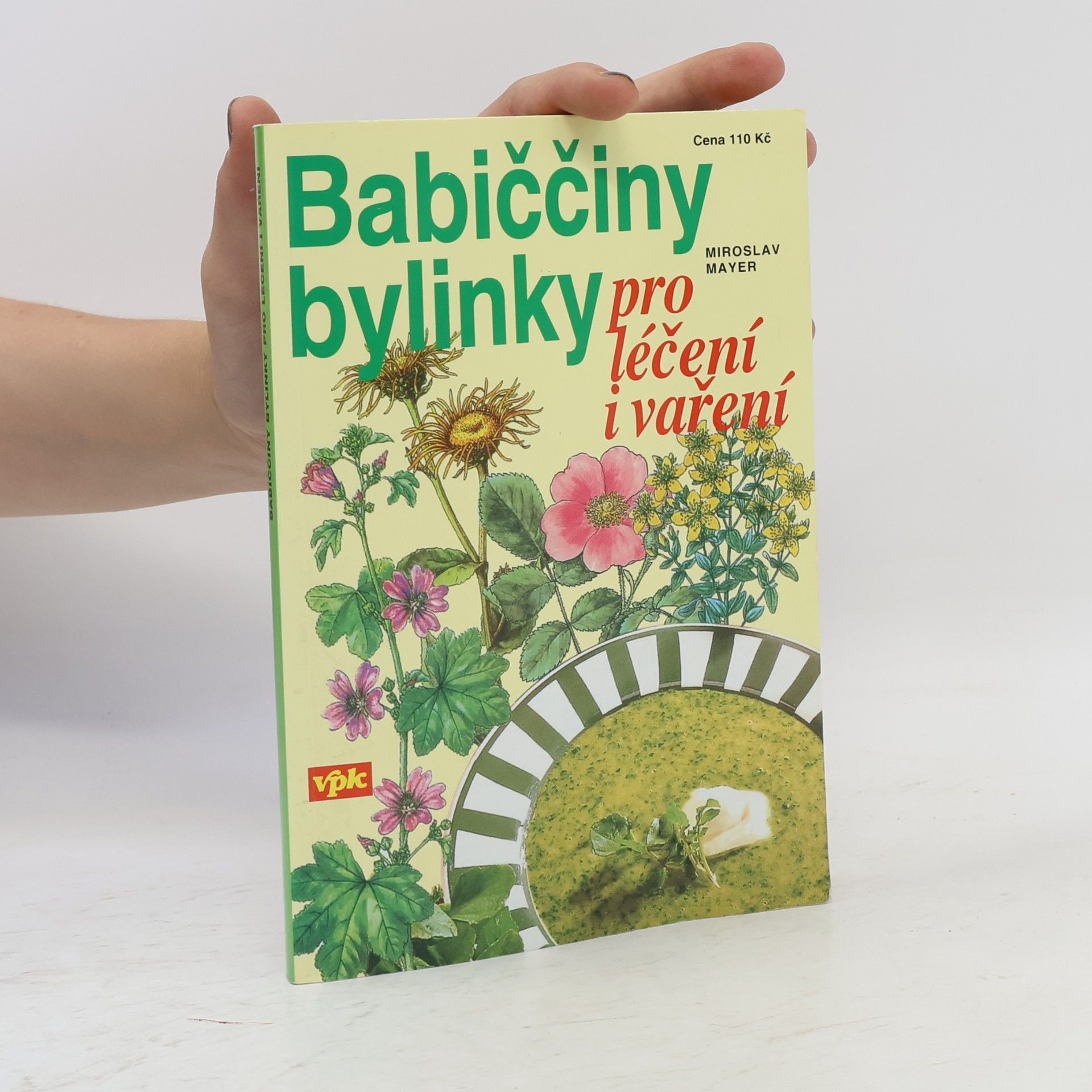 Miroslav Mayer Babiččiny bylinky pro léčení i vaření
