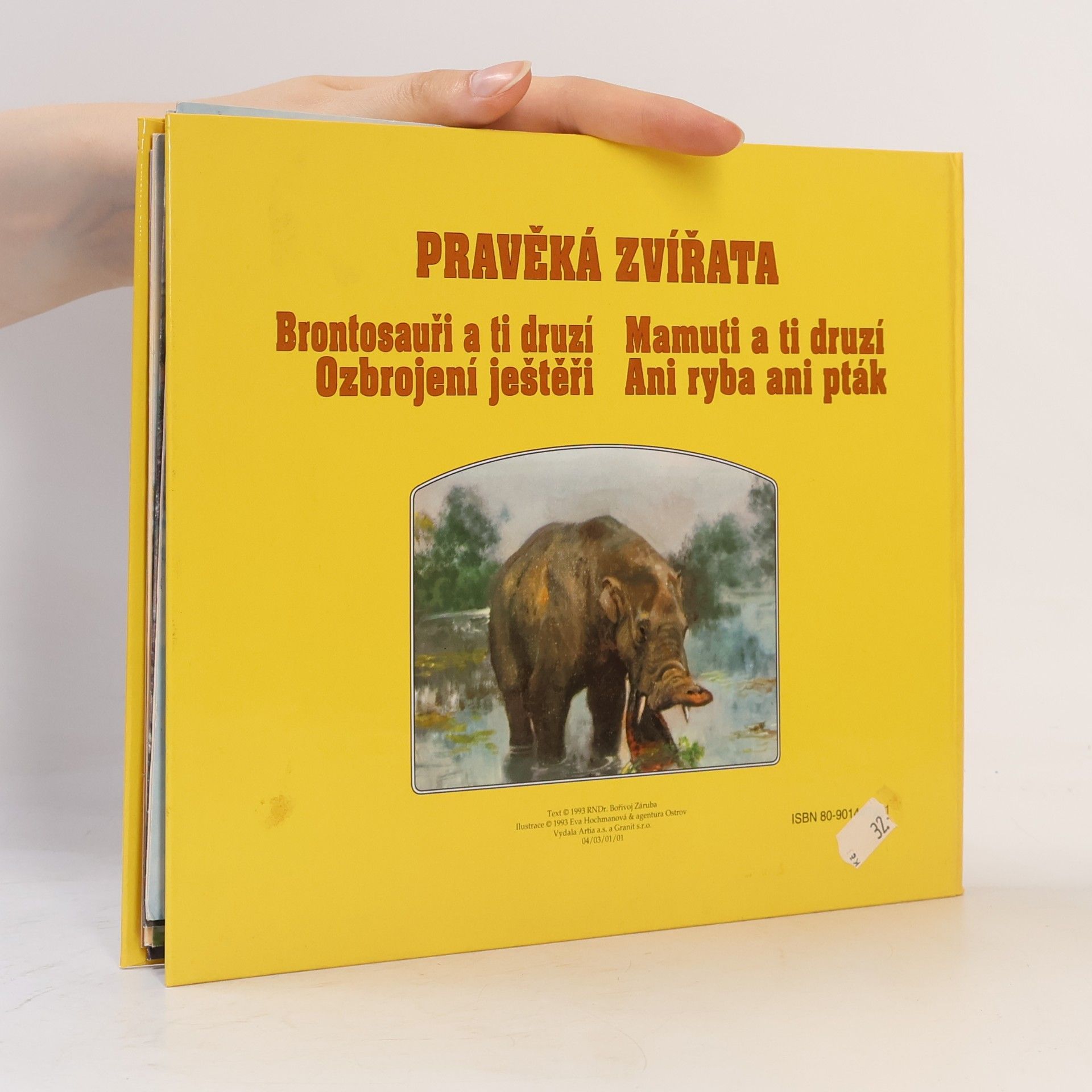 Bořivoj Záruba Mamuti a ti druzí