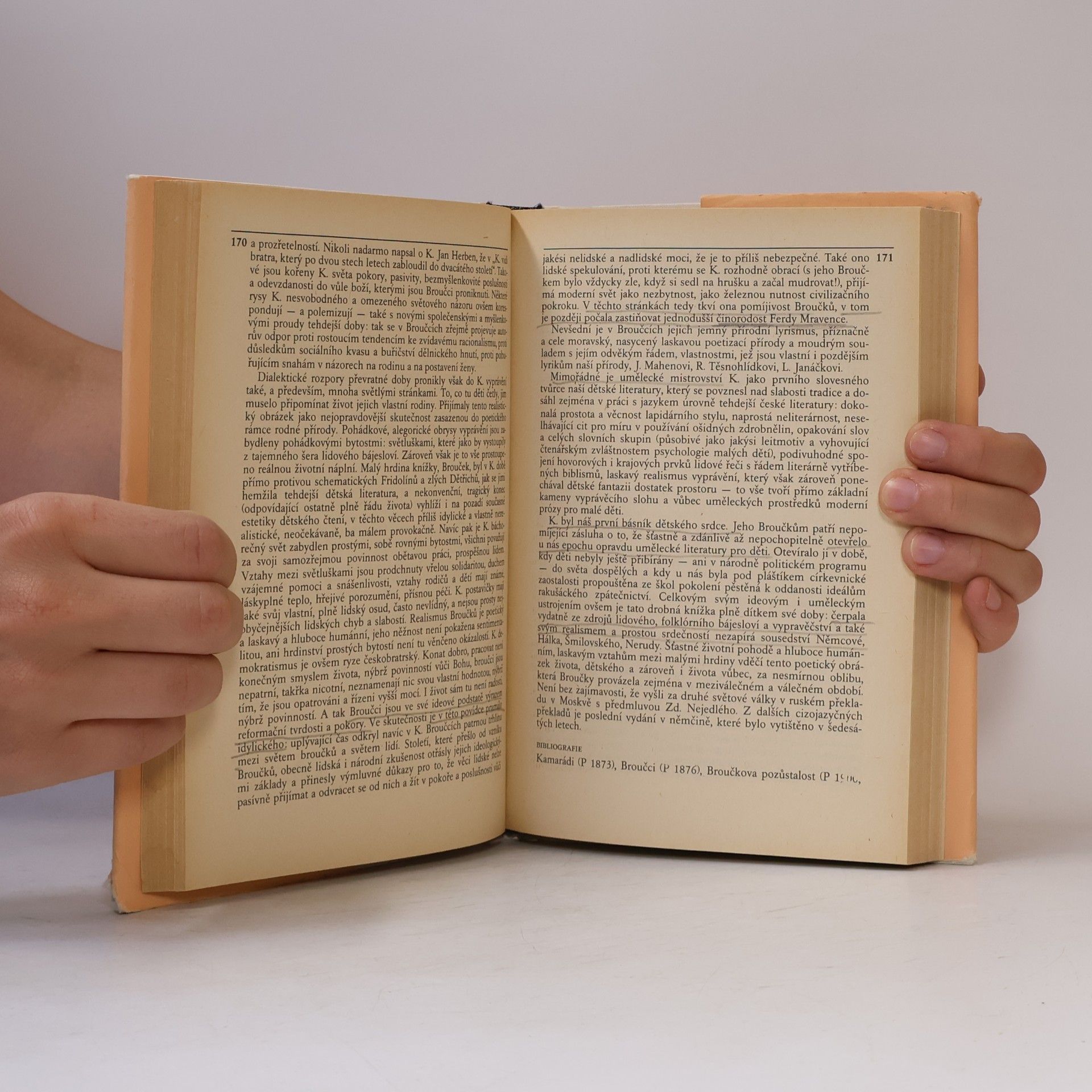Kolektiv autorů Čeští spisovatelé literatury pro děti a mládež