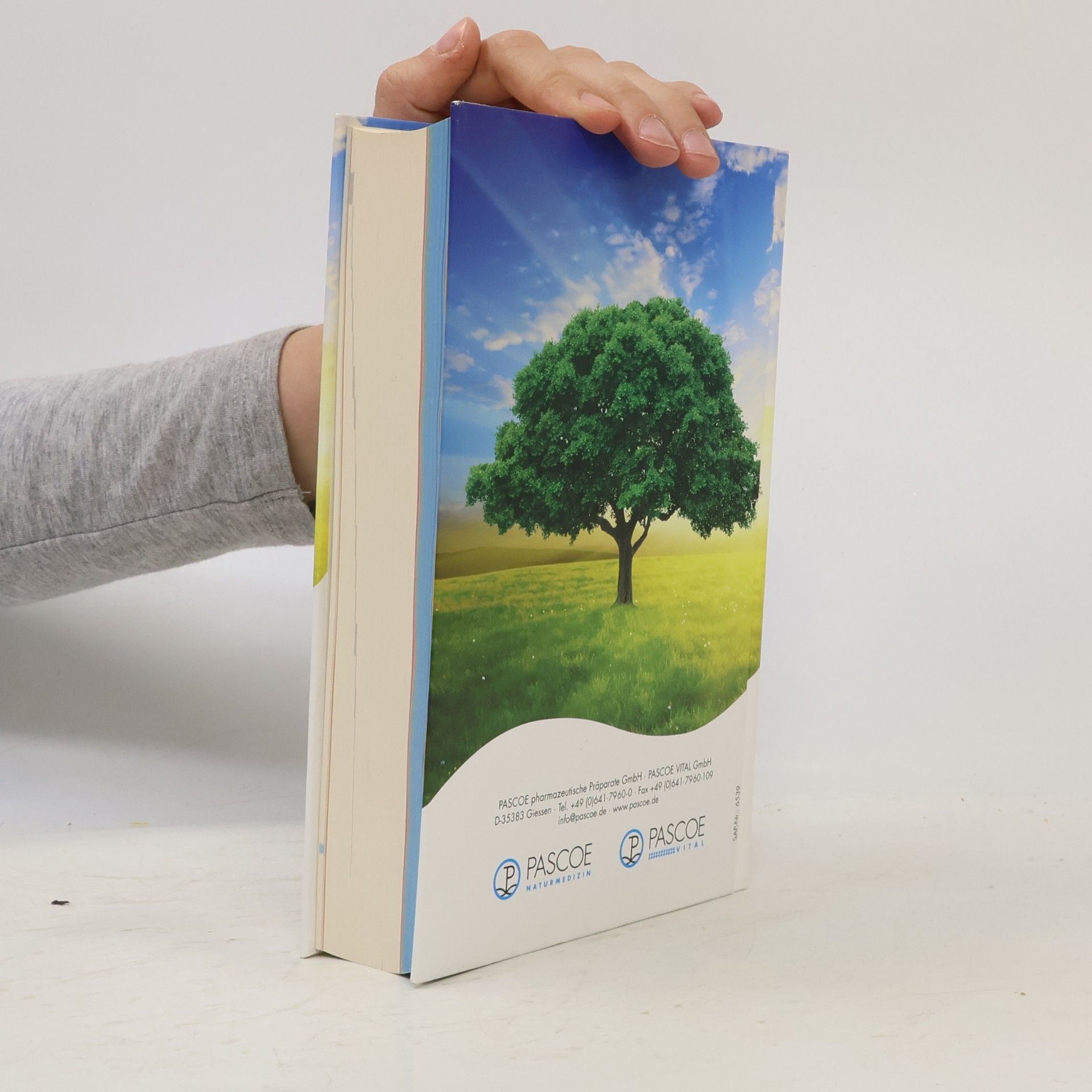 kolektiv Pascoe-Kompendium. Therapeutisches Handbuch und Präparateverzeichnis 08/2012