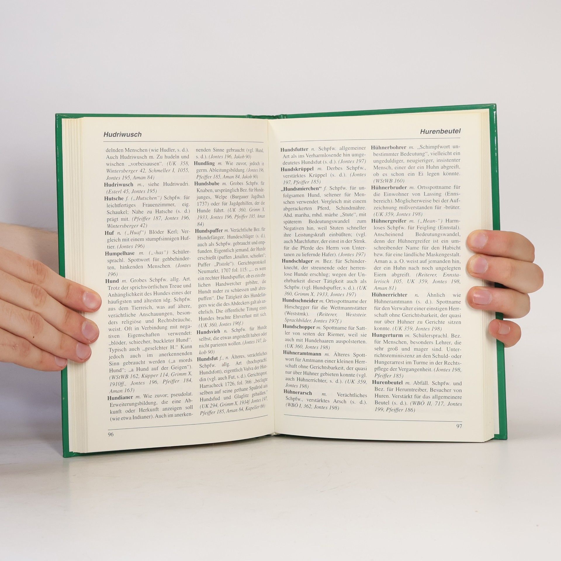 Günther Jontes Steirisches Schimpfwörterbuch