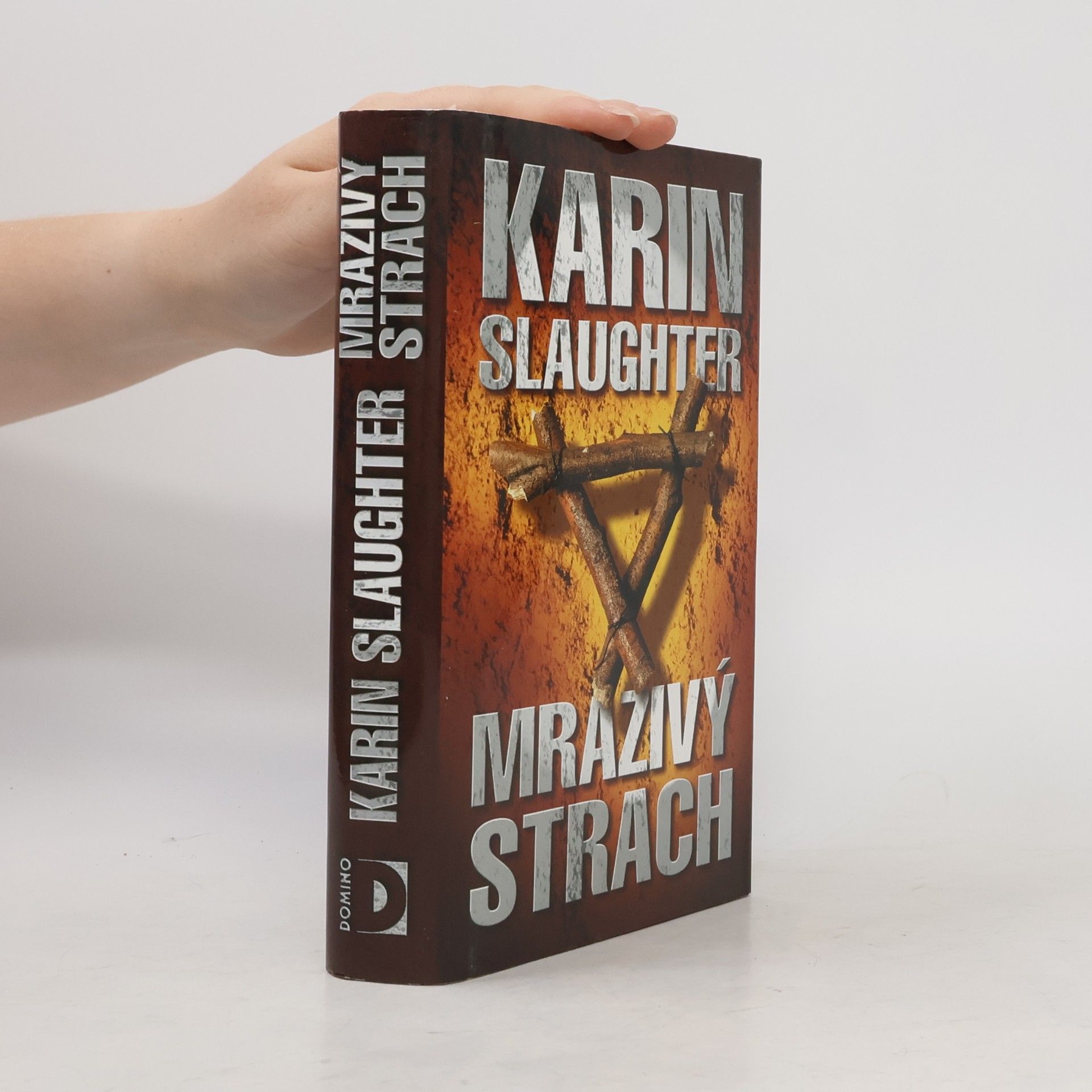 Karin Slaughter Mrazivý strach