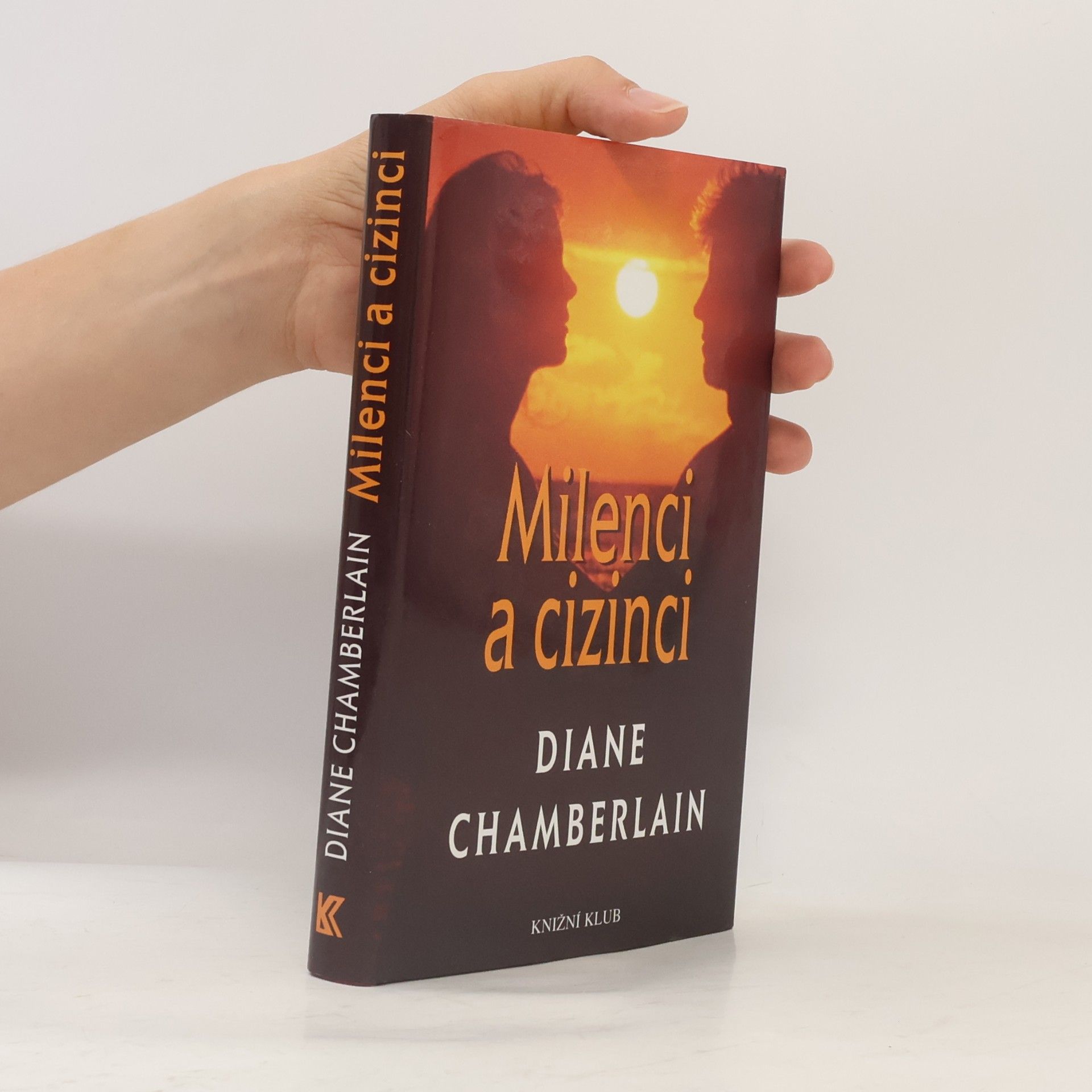 Diane Chamberlain Milenci a cizinci