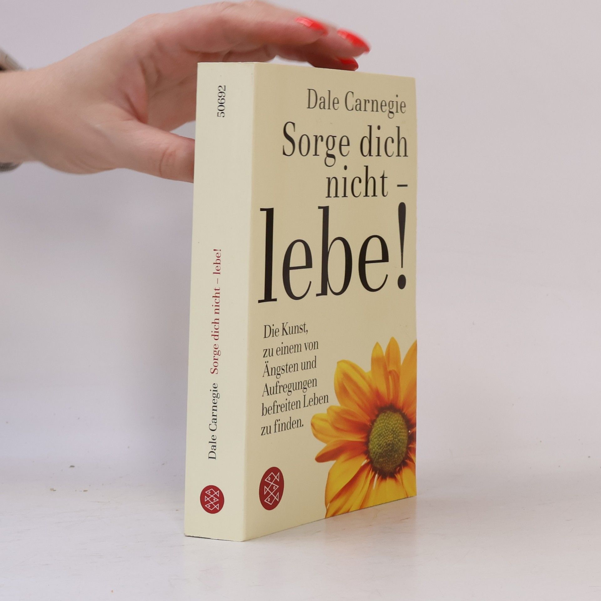 Dale Carnegie Sorge dich nicht - lebe!