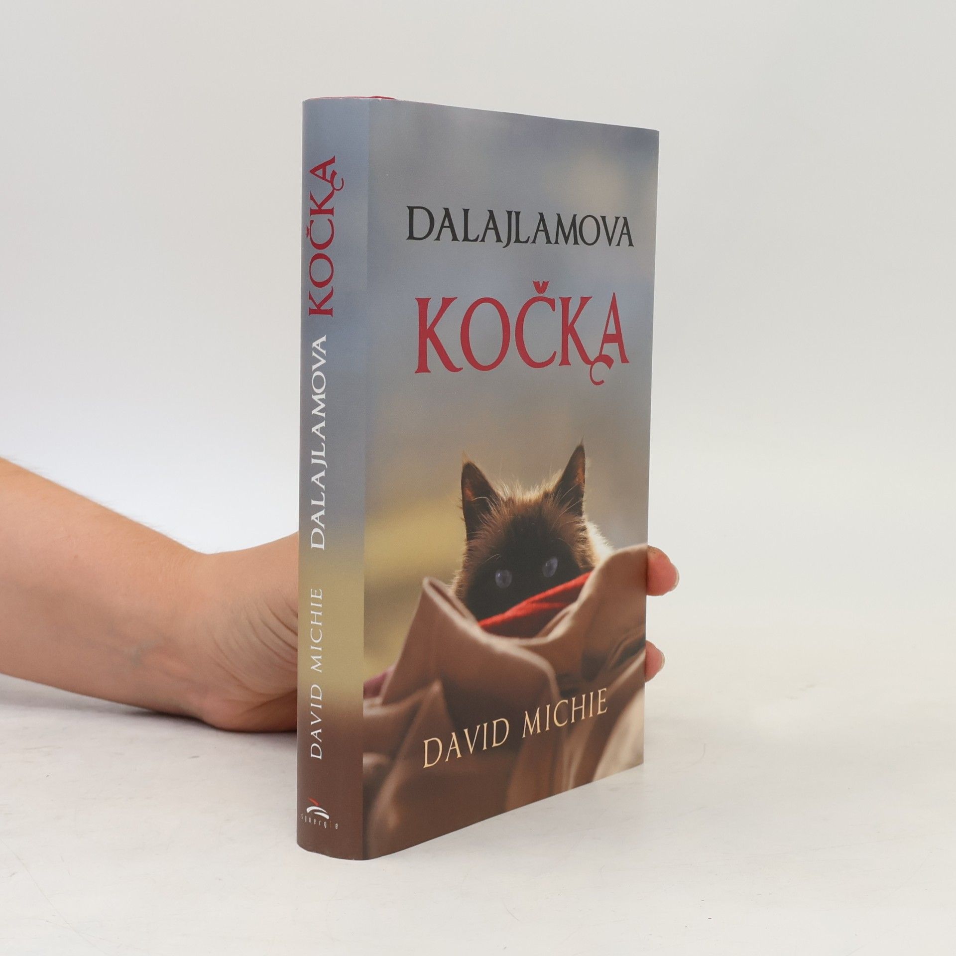 David Michie Dalajlamova kočka