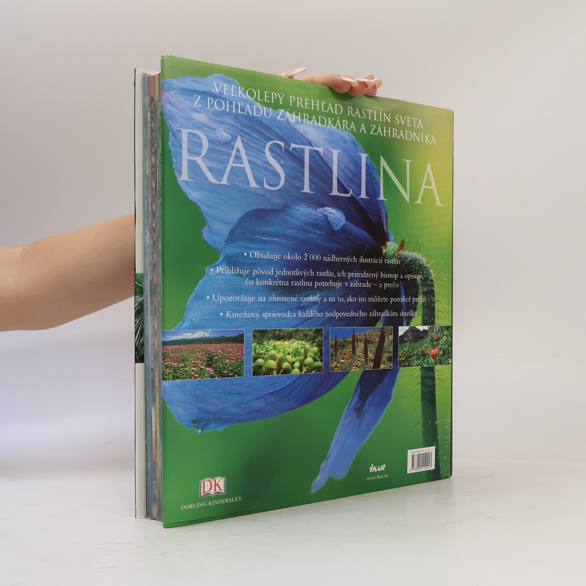 Janet Marinelli Rastlina