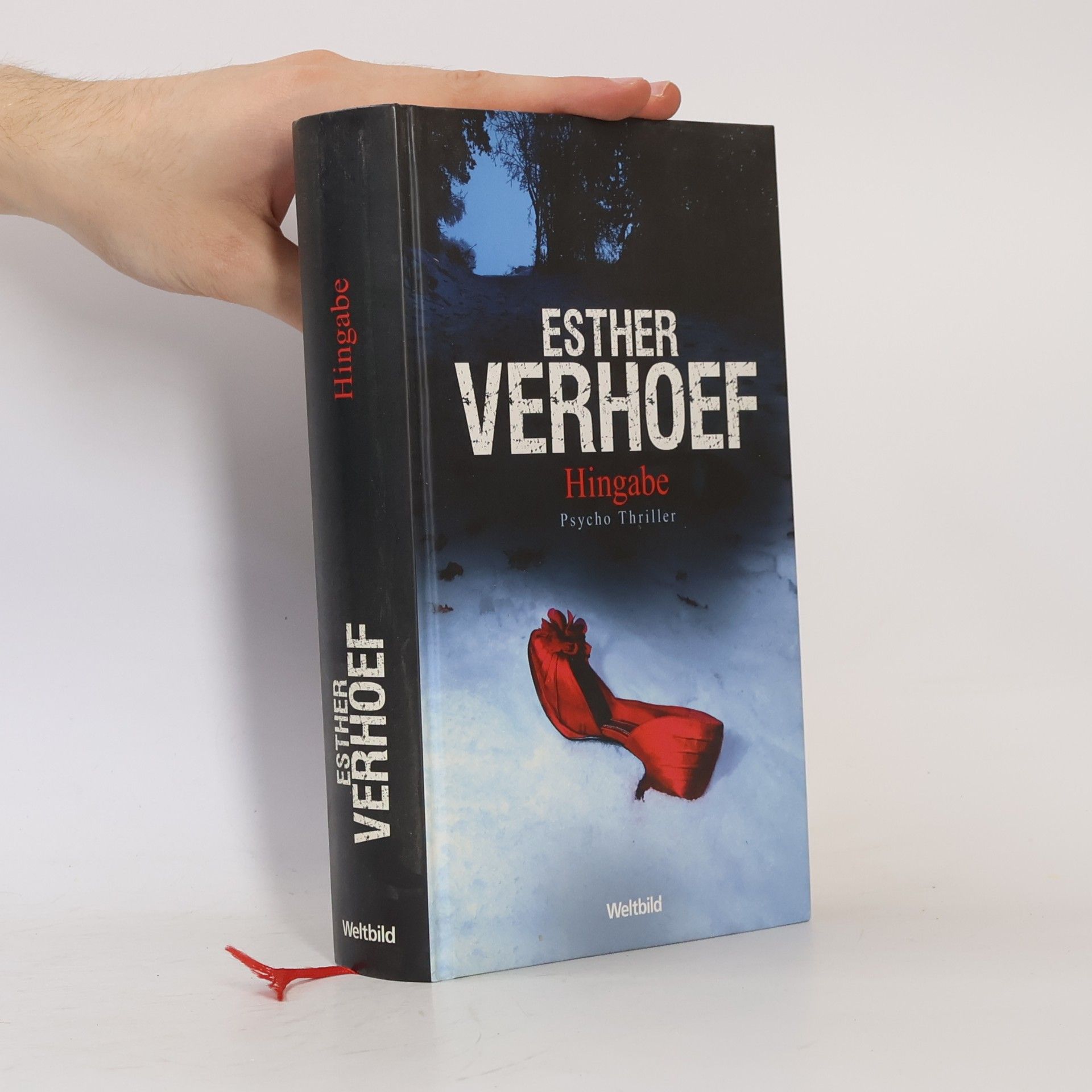 Esther Verhoef Hingabe