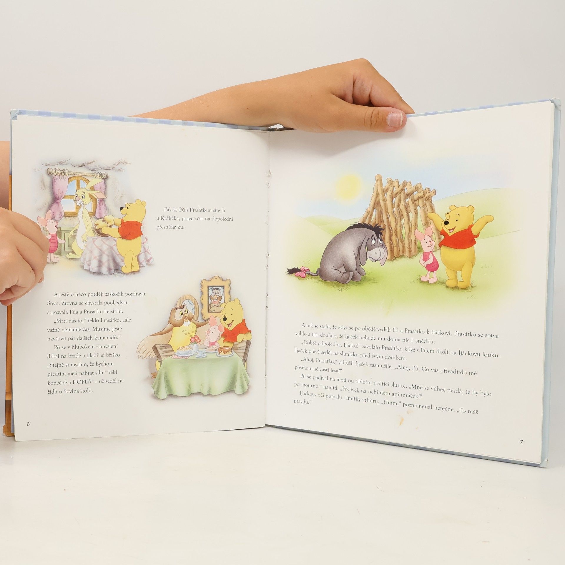 Various authors Medvídek Pú : pohádky na dobrou noc : [vyprávění o kamarádech ze Stokorcového lesa]
