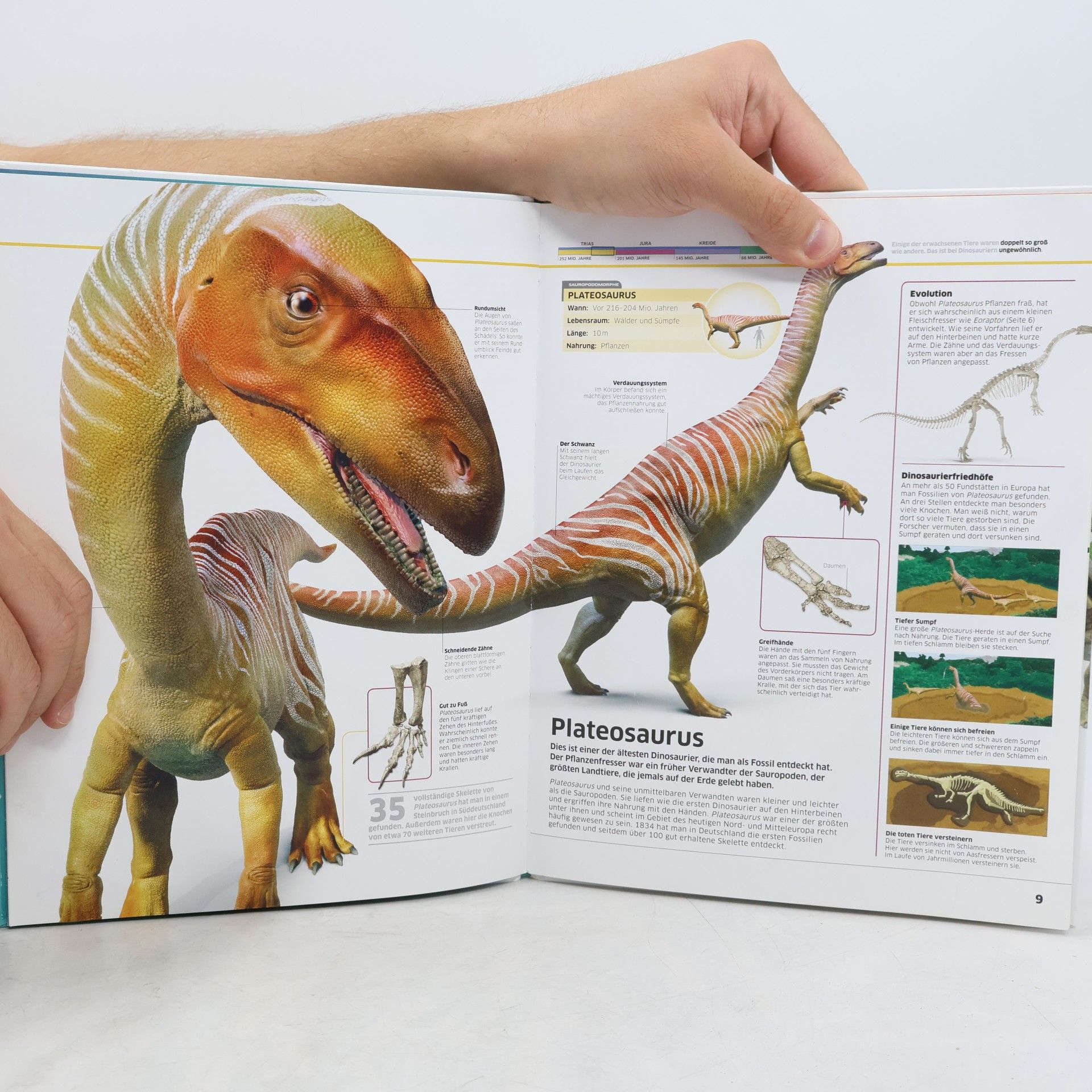 Kolektiv autorů Die Urzeitriesen in spektakulären Bildern Dinosaurier