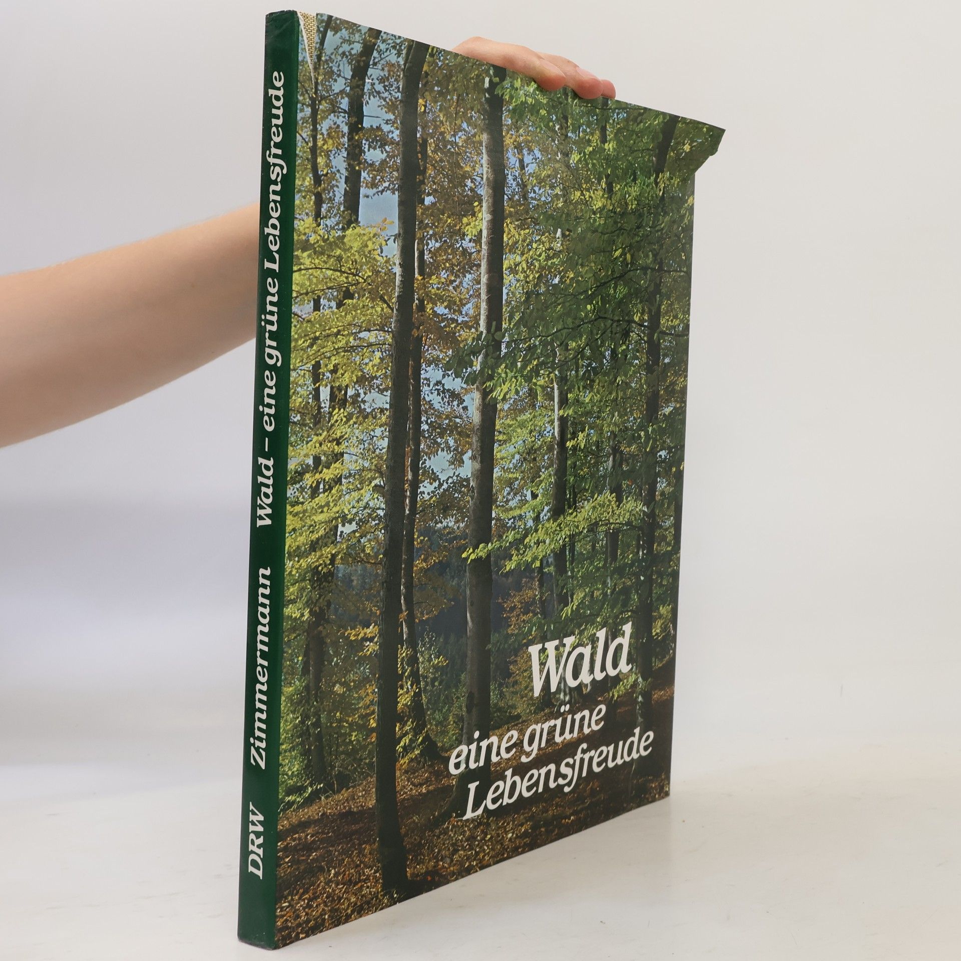 Autorenkollektiv Wald eine grüne Lebensfreunde