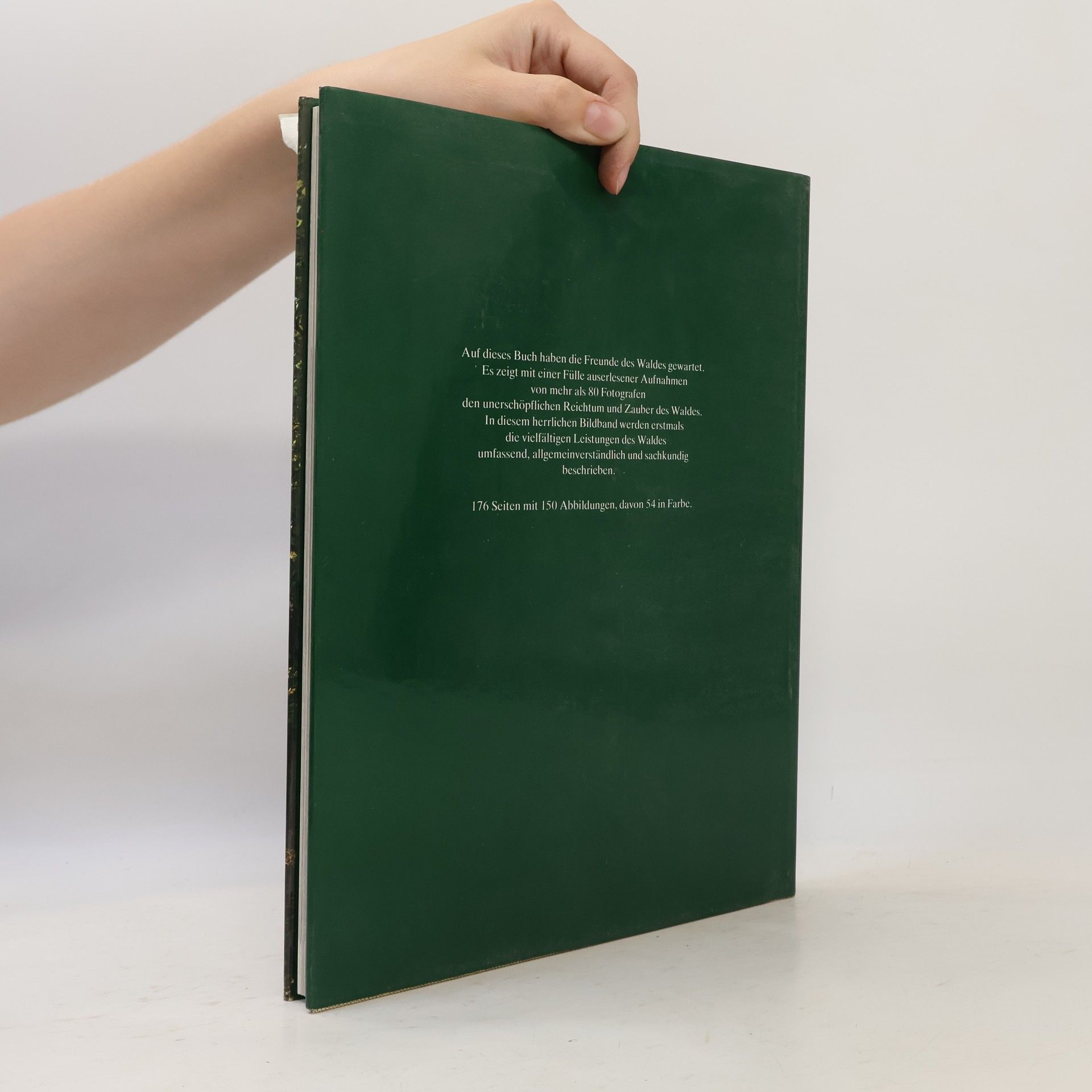 Autorenkollektiv Wald eine grüne Lebensfreunde