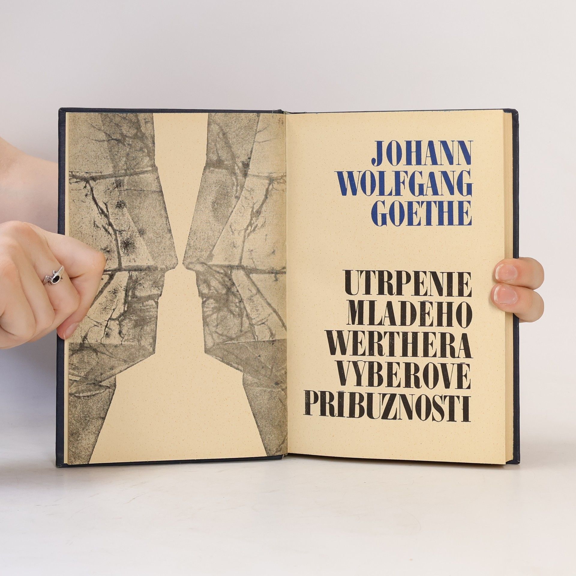 Johann Wolfgang von Goethe Utrpenie mladého Werthera. Výberové příbuznosti.