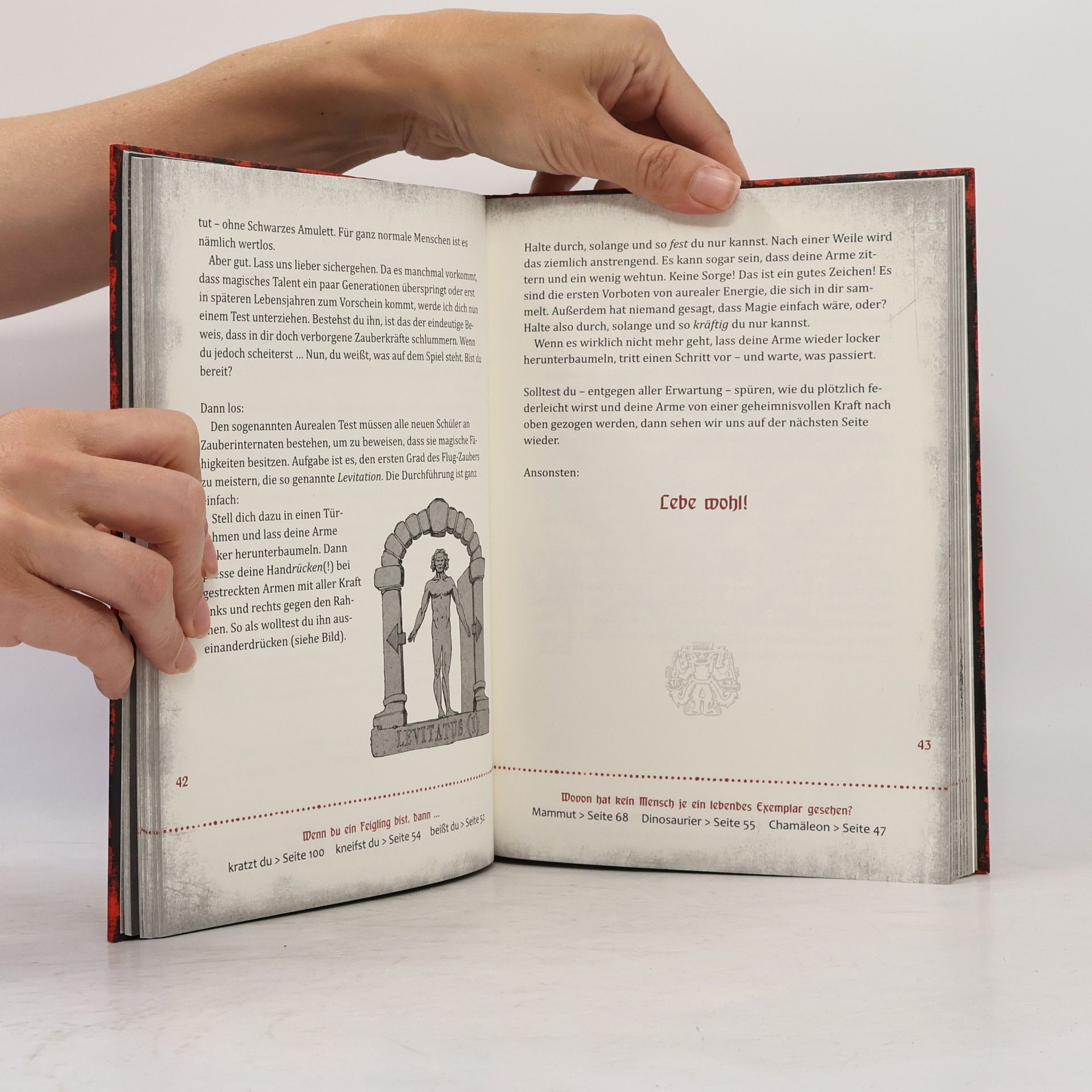 Magnnus Myst Das Böse Buch