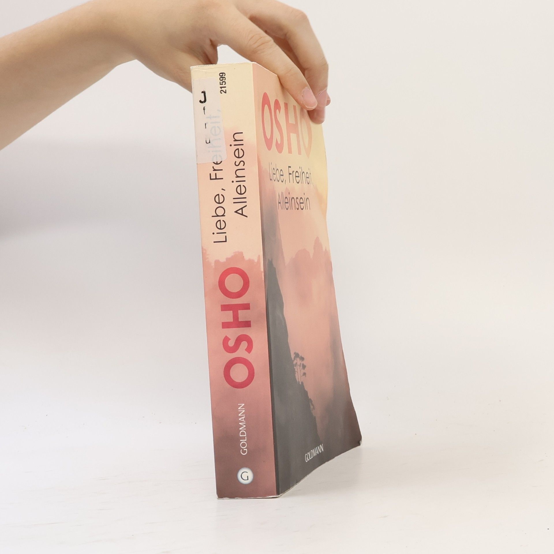 Osho Liebe, Freiheit, Alleinsein