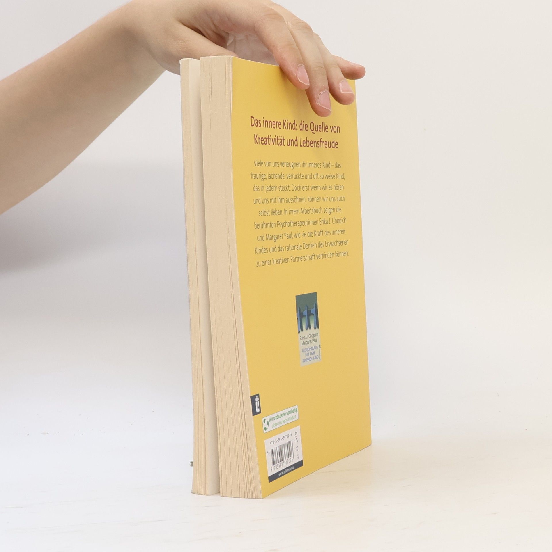 Erika J. Chopich Das Arbeitsbuch zur Aussöhnung mit dem inneren Kind