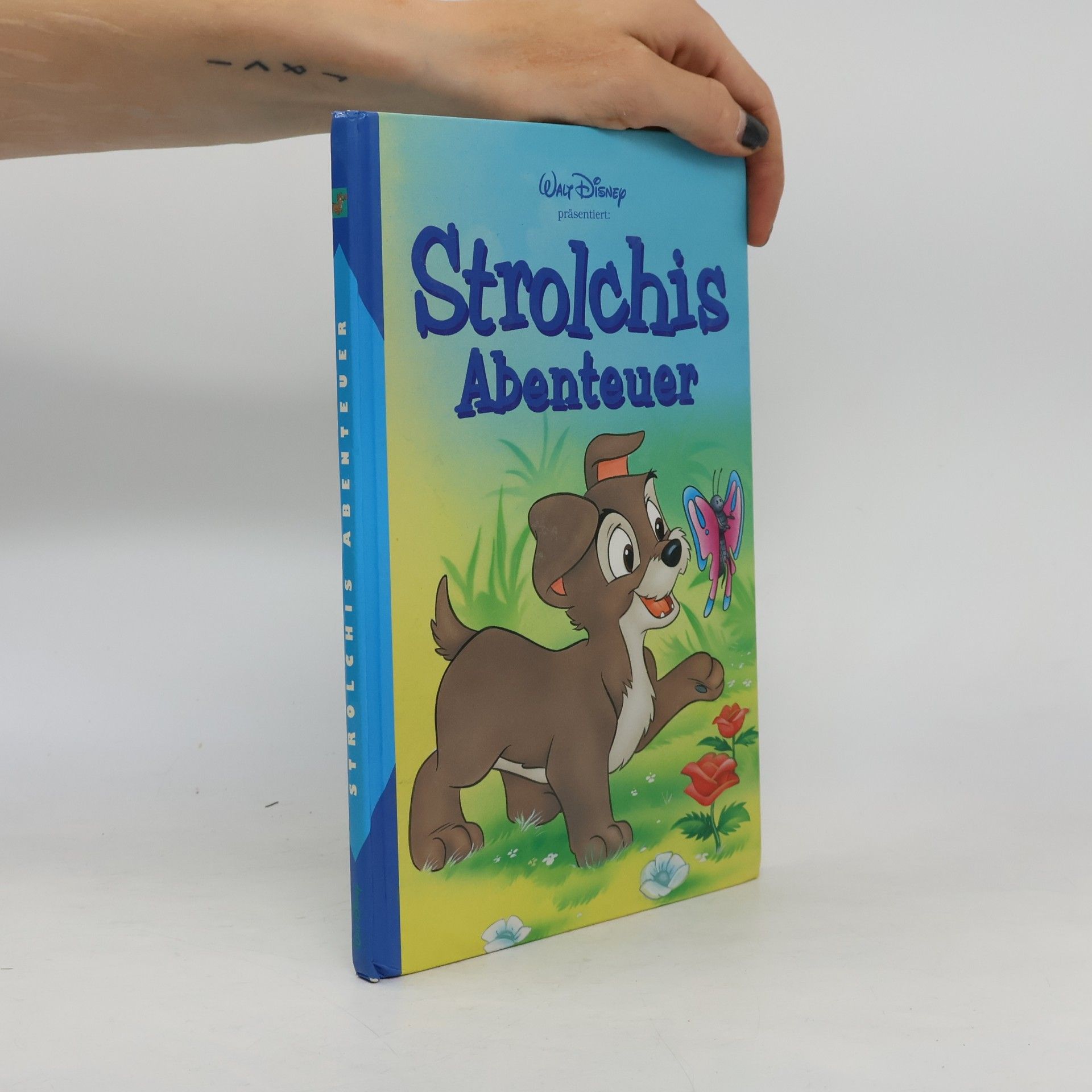 Walt Disney Strolchis Abenteuer