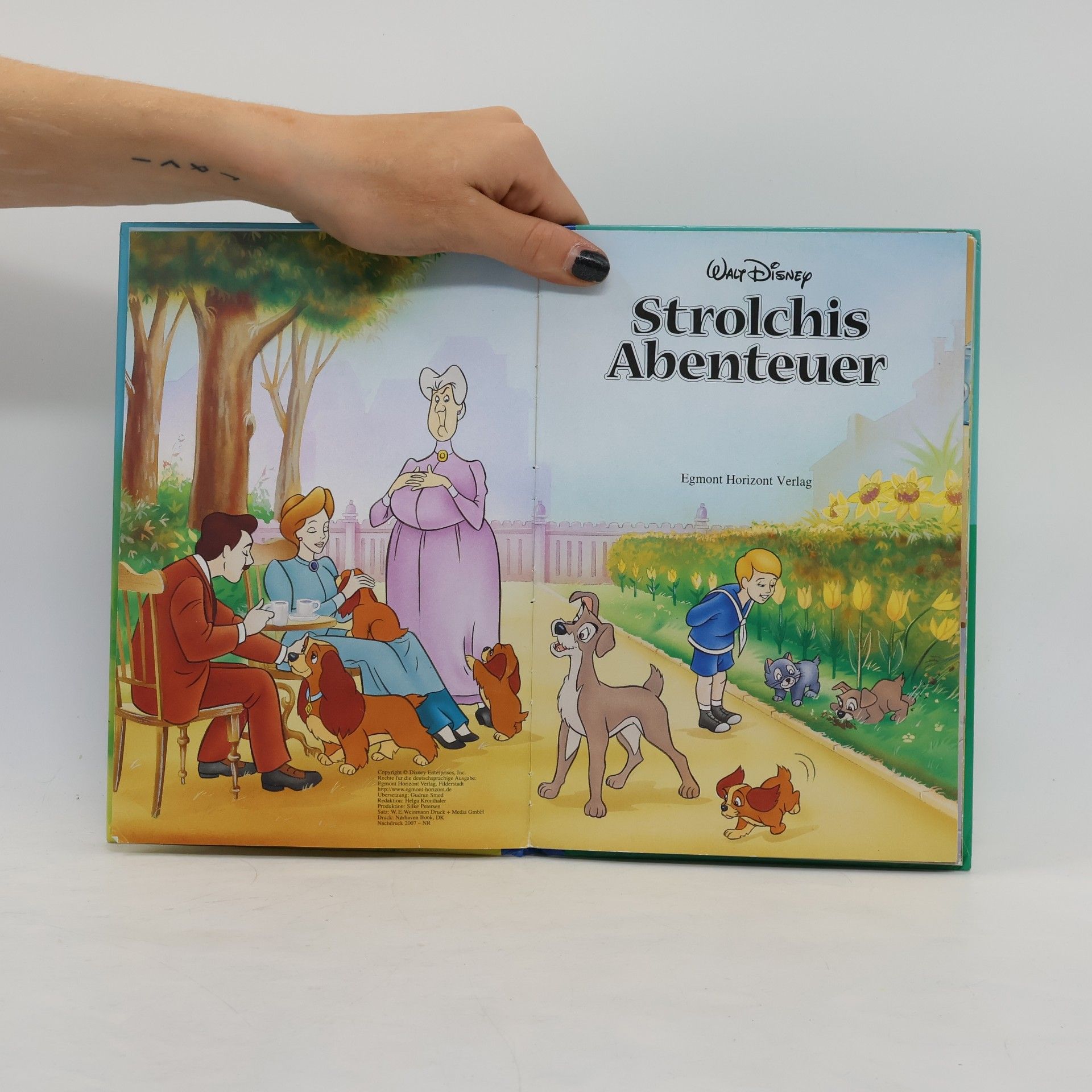 Walt Disney Strolchis Abenteuer