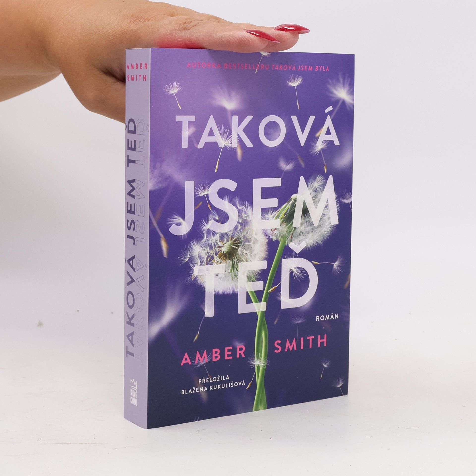 Amber Smith Taková jsem teď