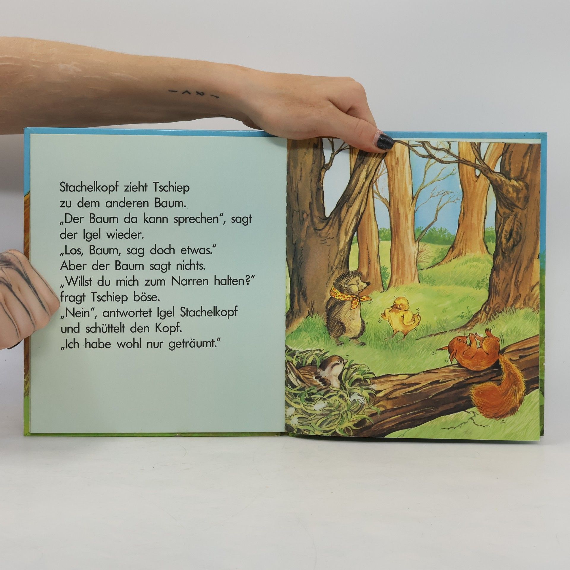 Lucy Kincaid Igel Stachelkopf und der sprechende Baum