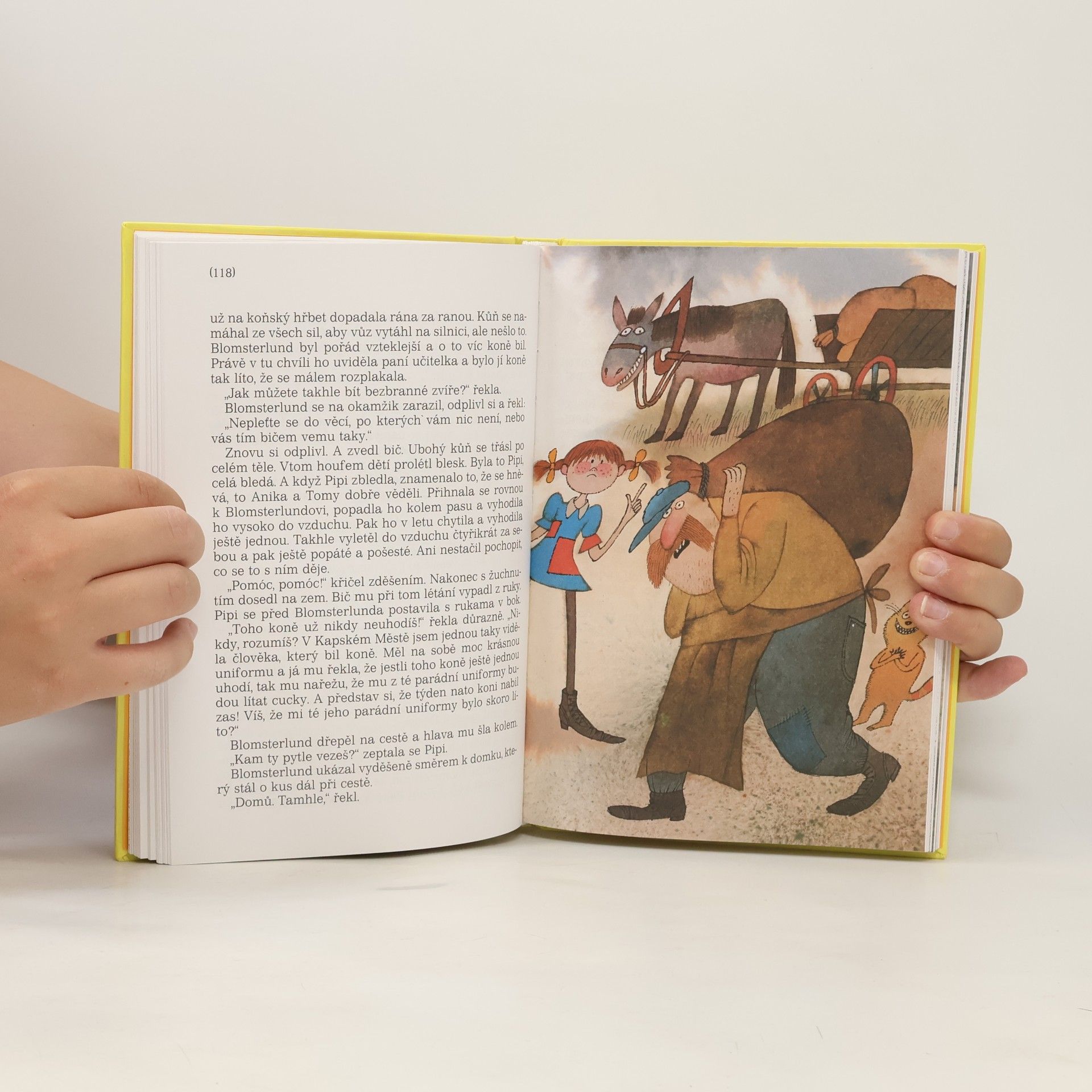 Astrid Lindgren Pipi Dlouhá punčocha