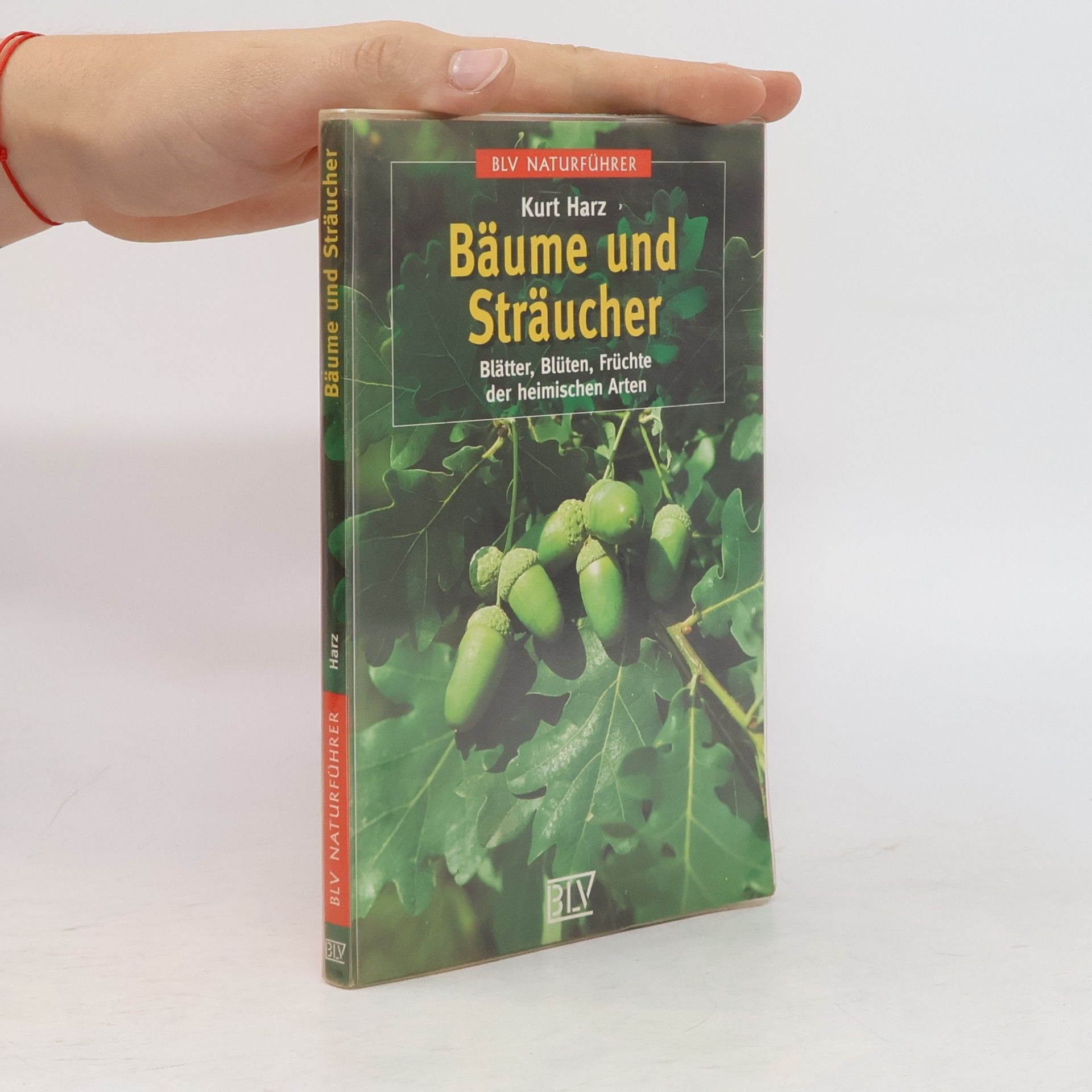 Kurt Harz Bäume und Sträucher