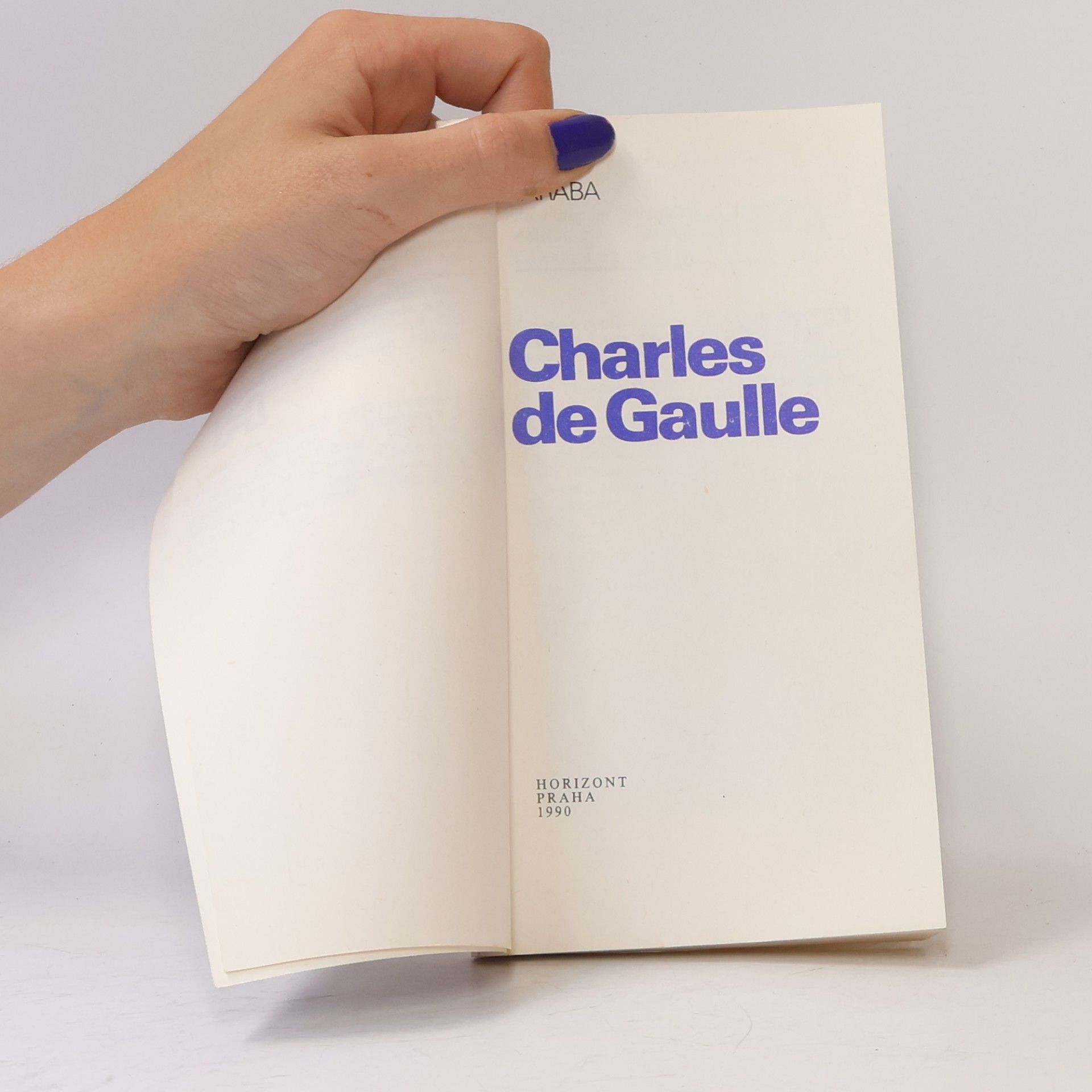 Luboš Taraba Charles de Gaulle
