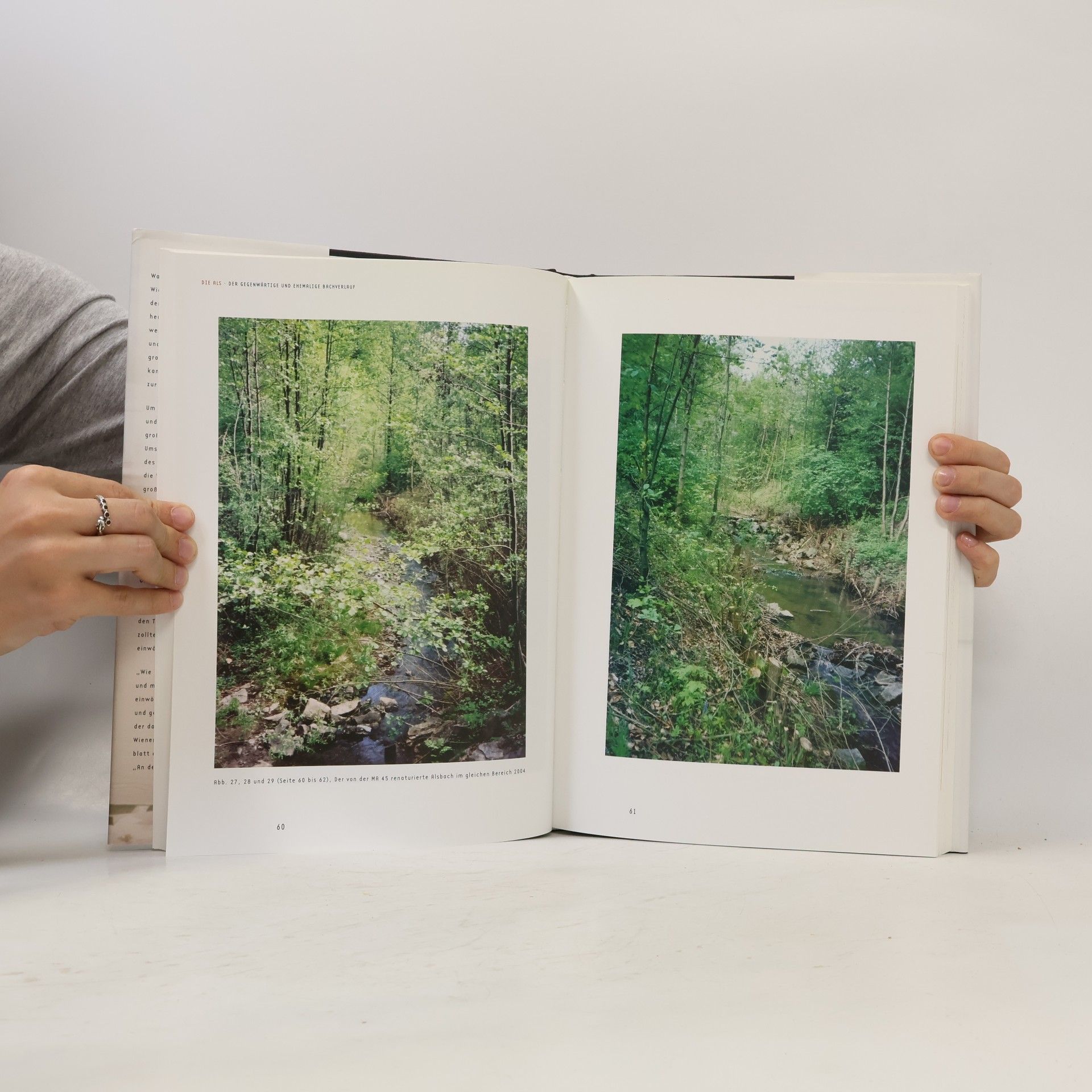 Christian Gantner Vom Bach zum Bachkanal