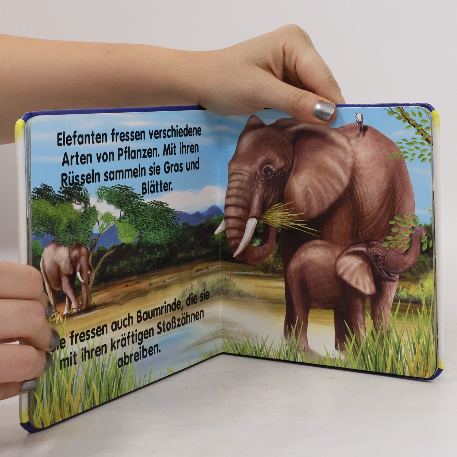 Erster Lernspaß Elefanten