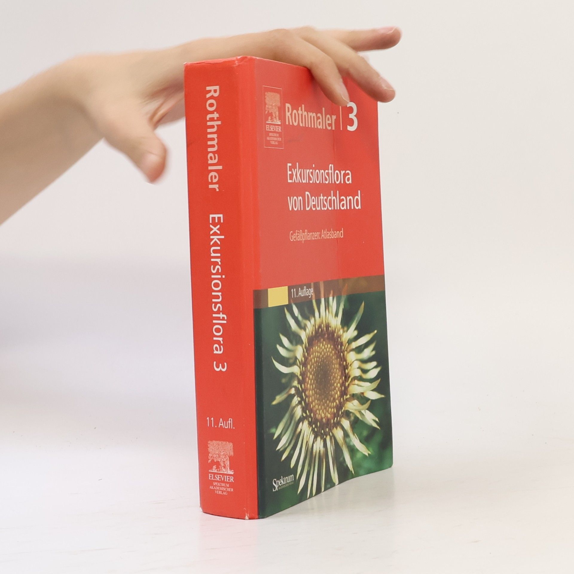 Rothmaler - 3: Exkursionsflora von Deutschland