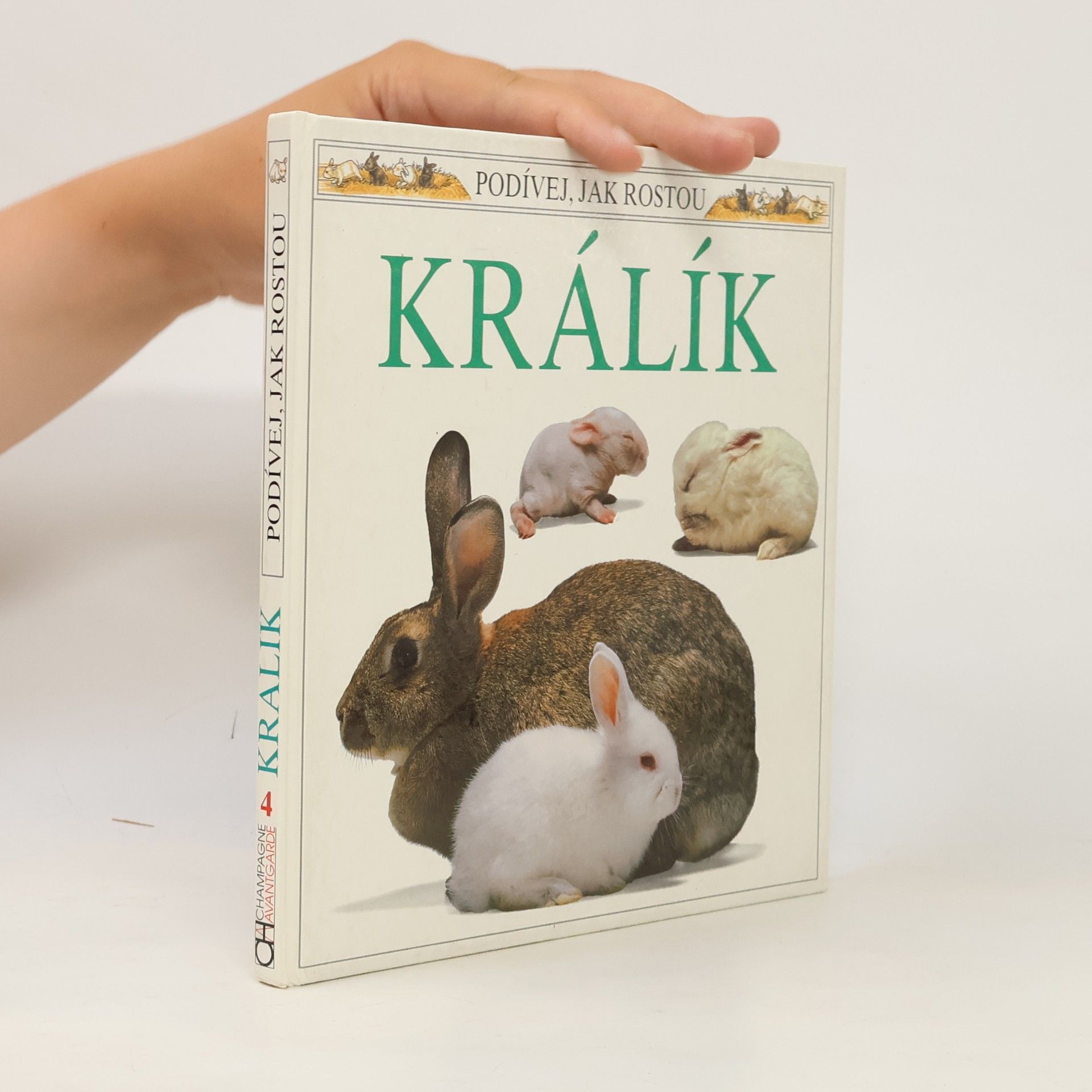 Kvetoslava Roháčová Králík