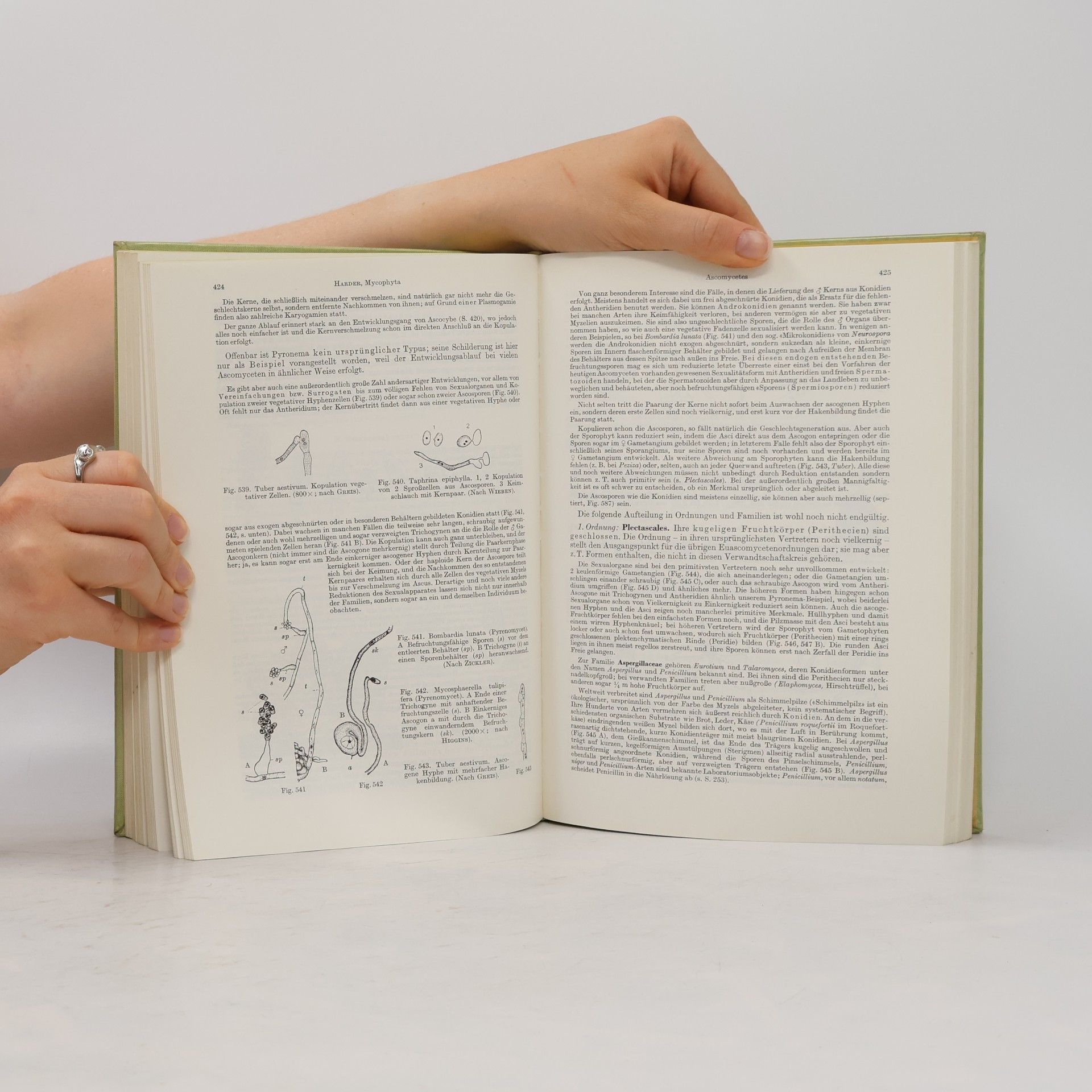 Collectif d'auteurs Lehrbuch der Botanik