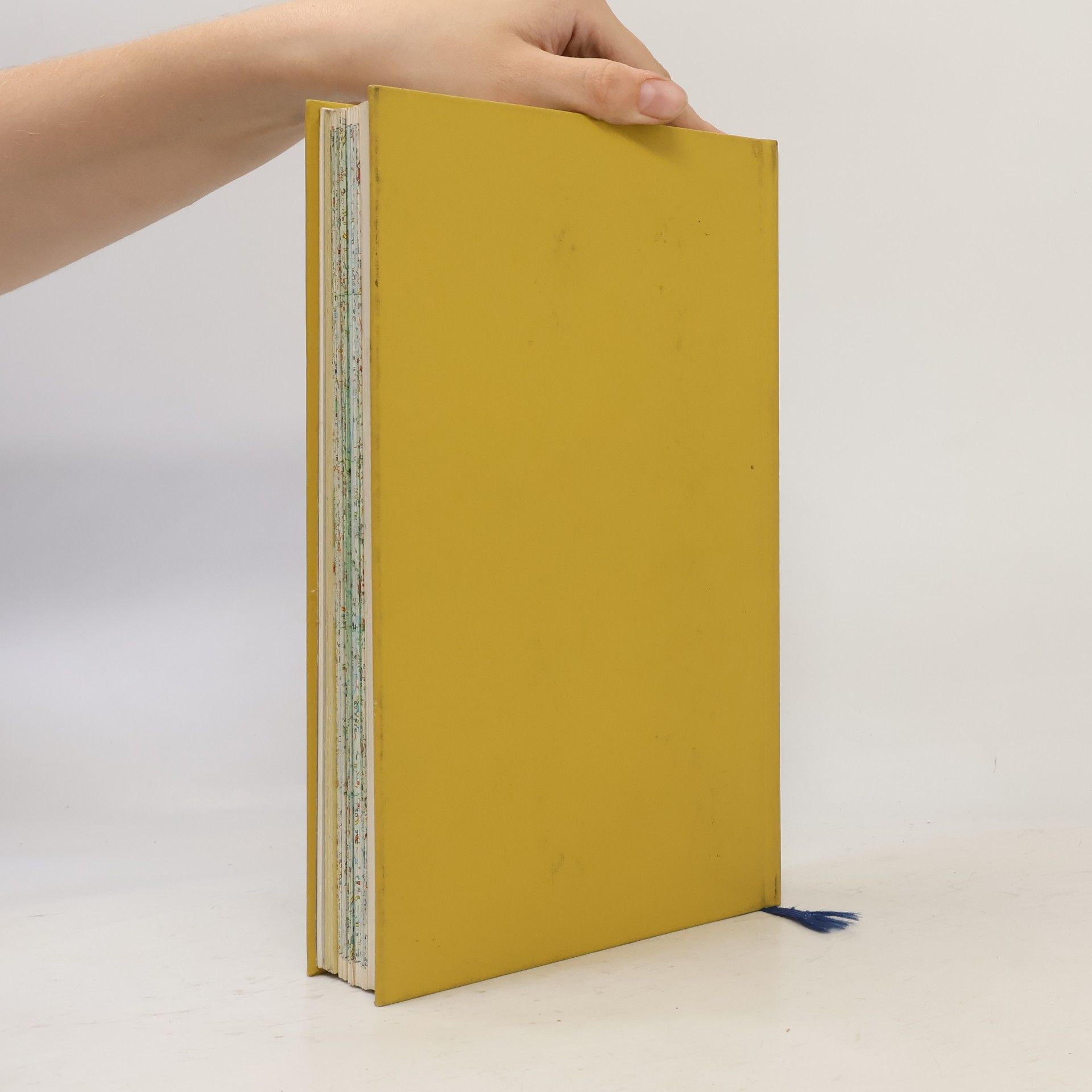 AA.VV. Autoreisebuch Europa
