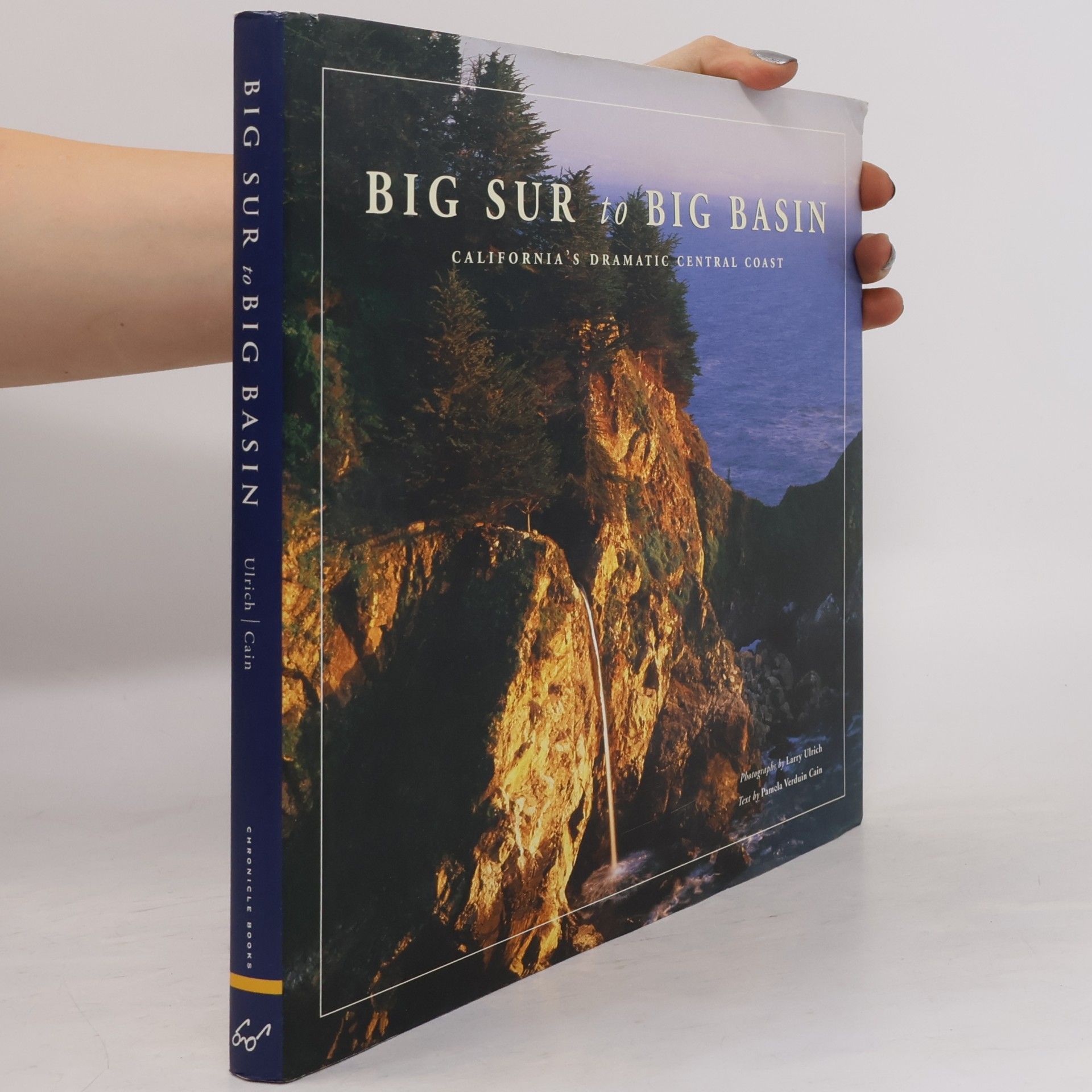 Pamela Verduin Cain Big Sur to Big Basin