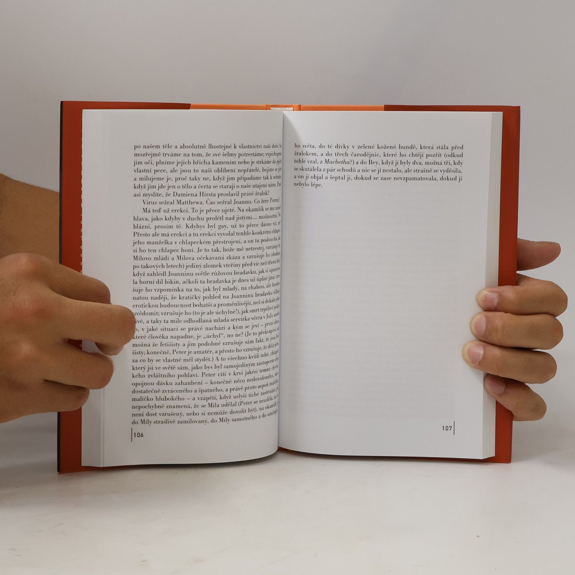 Michael Cunningham Za soumraku