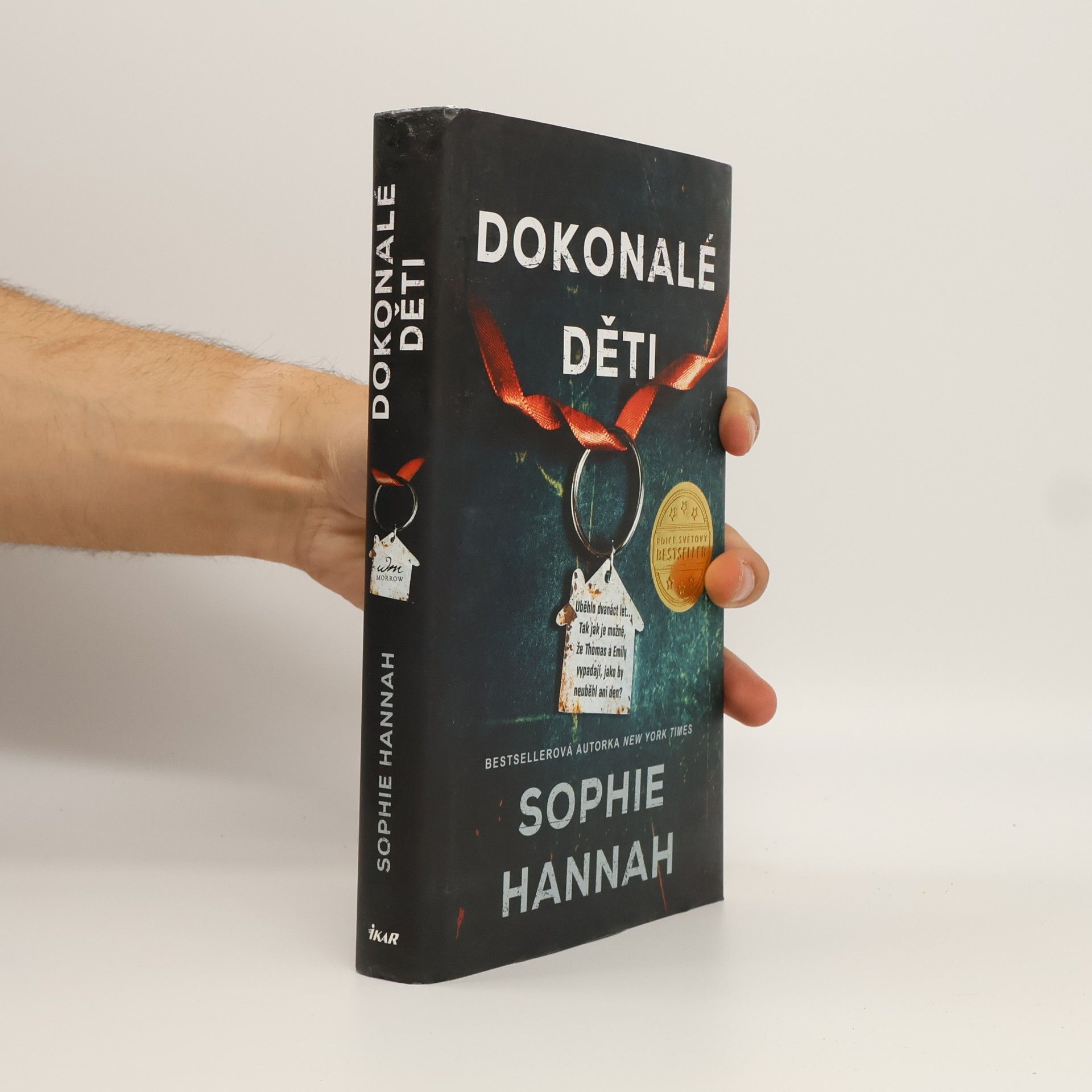 Sophie Hannah Dokonalé děti