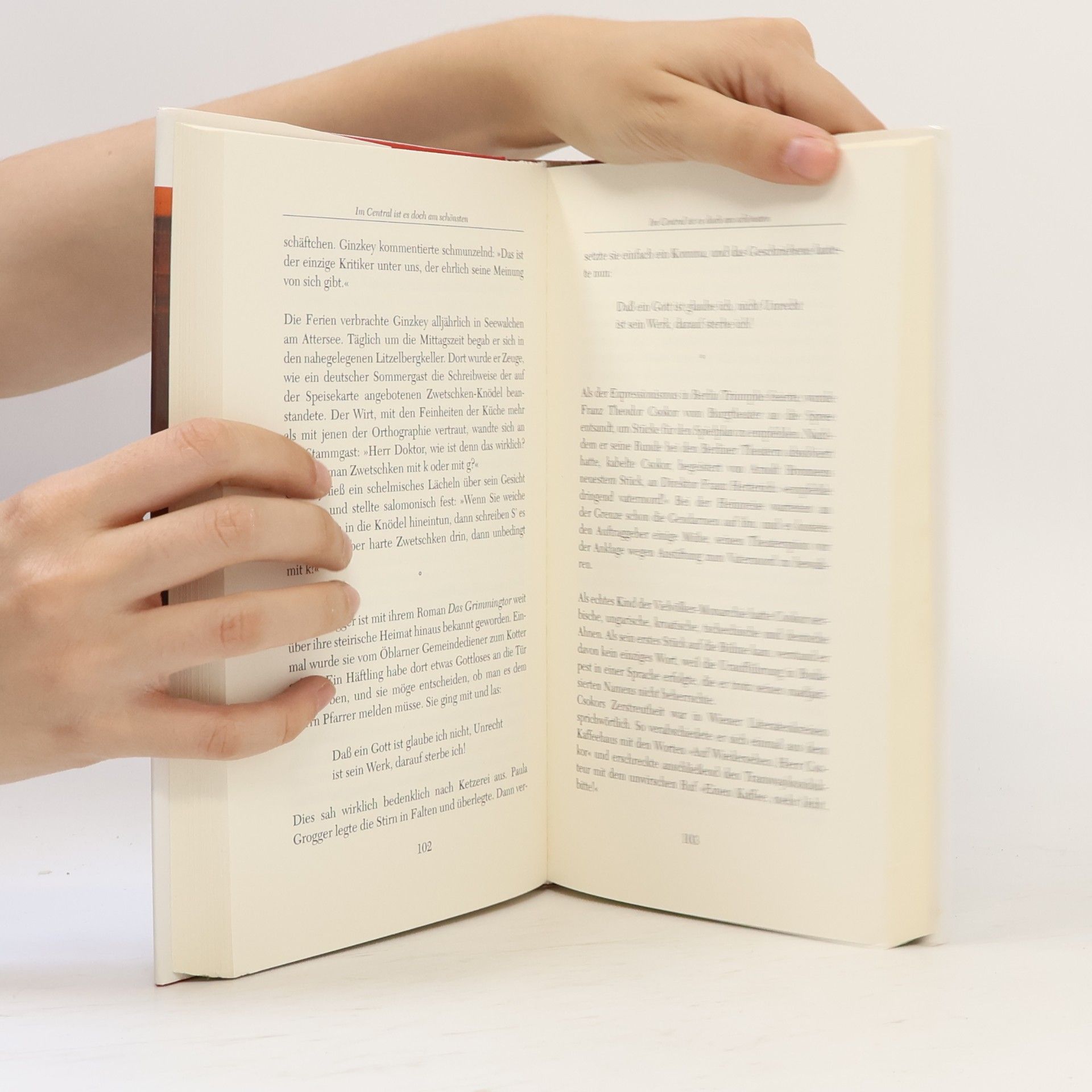 Johannes Twaroch Typisch Österreich. Literatur in Anekdoten