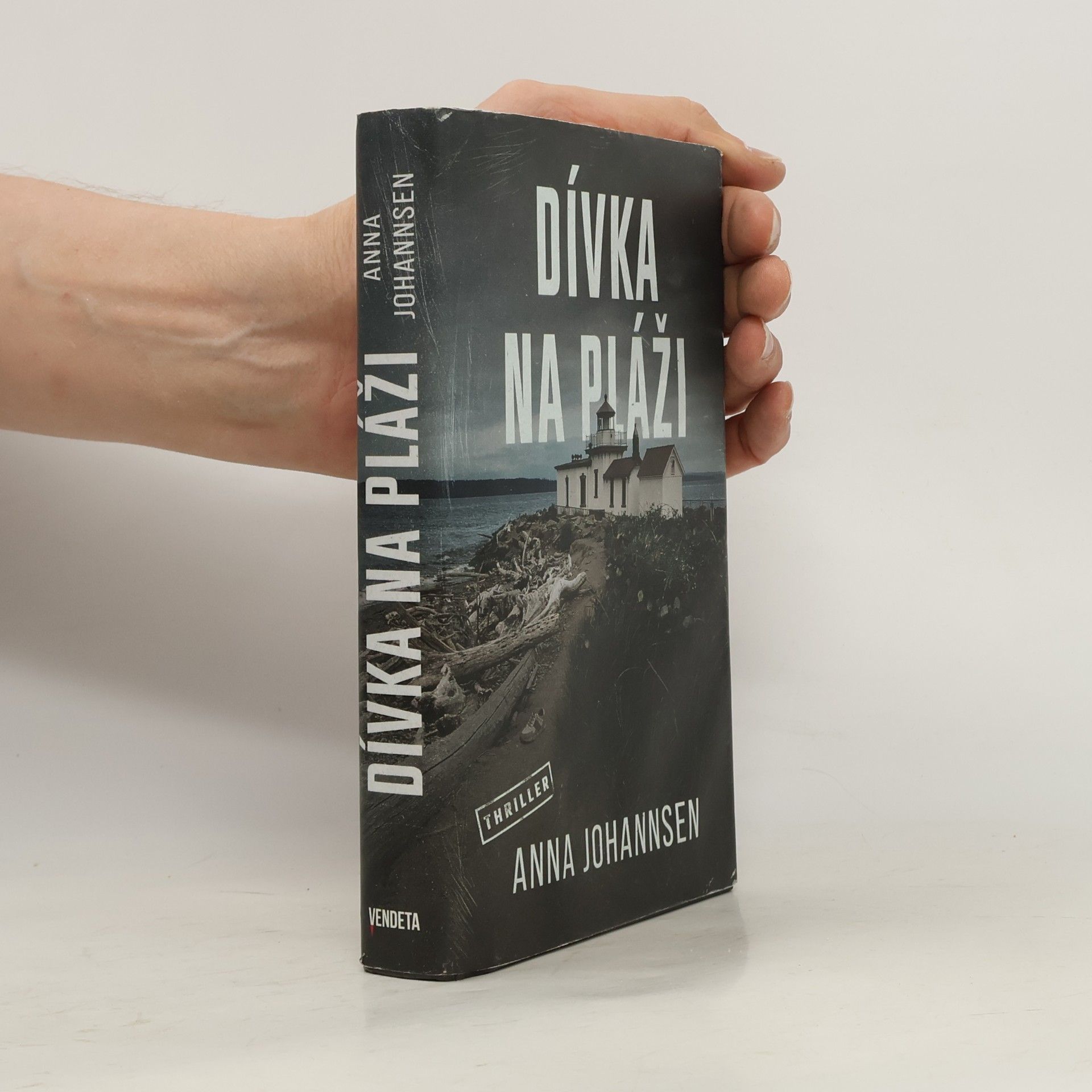 Anna Johannsen Dívka na pláži