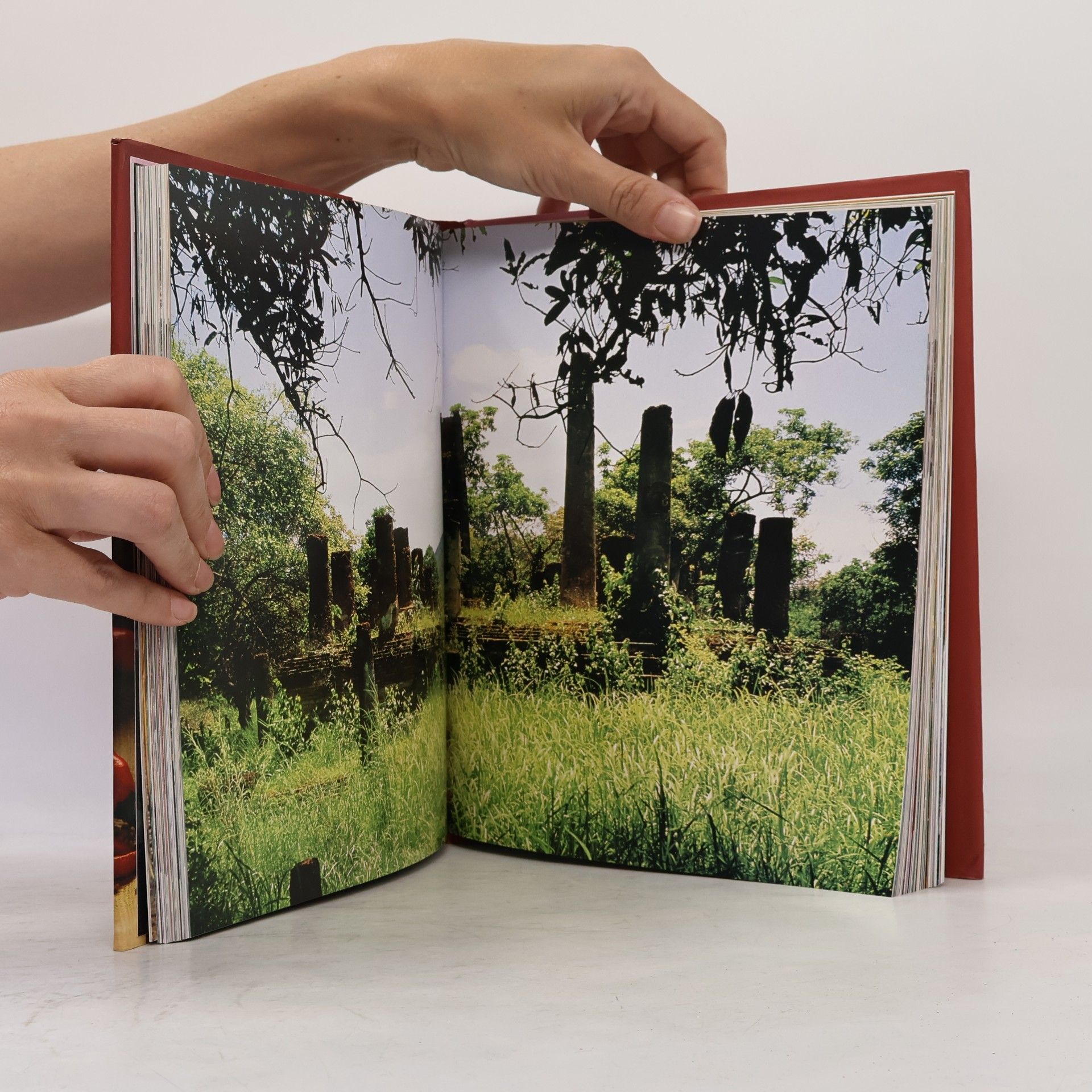 Judy Williams Kochen rund um die Welt. Thailand