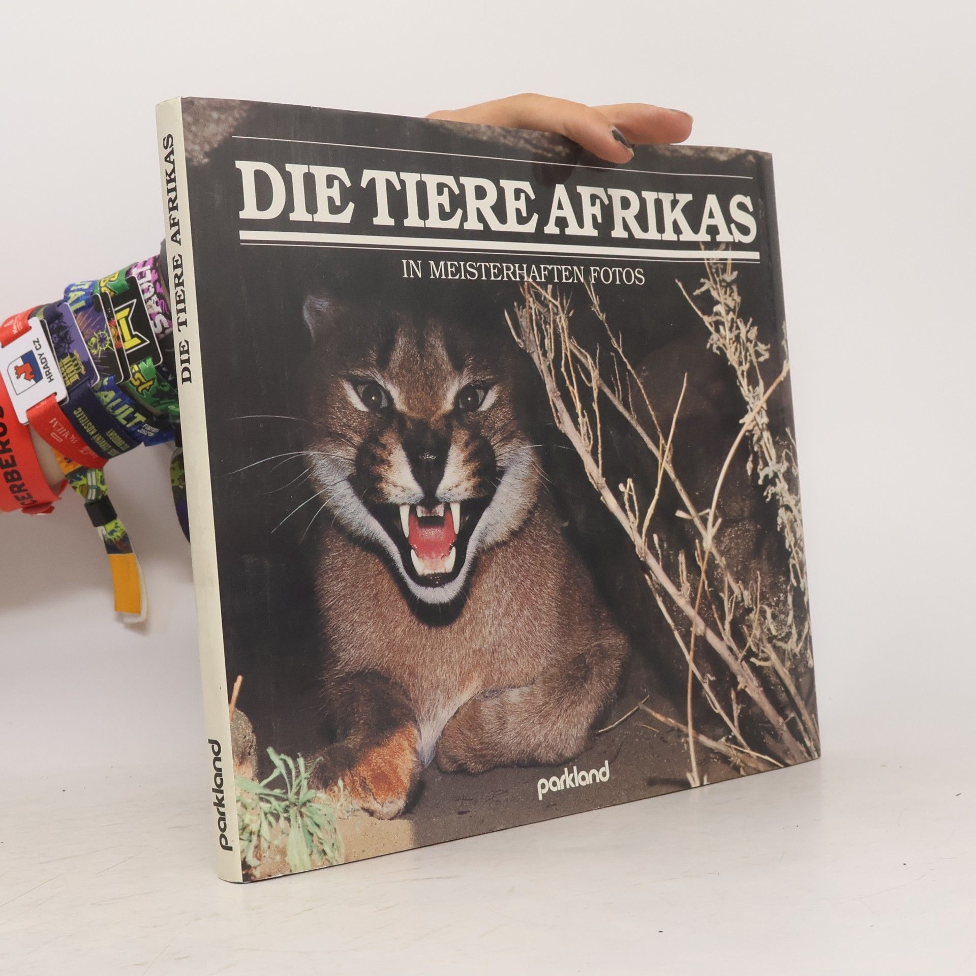 Autorenkollektiv Die Tiere Afrikas in meisterhaften Fotos